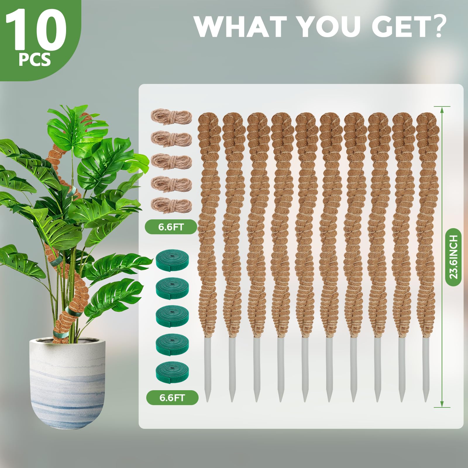 Lot de 10 poteaux en mousse pour plantes grimpantes – Piquets flexibles de 63,5 cm pour plantes grimpantes – Support de plante en fibre de coco fait à la main pour plantes grimpantes