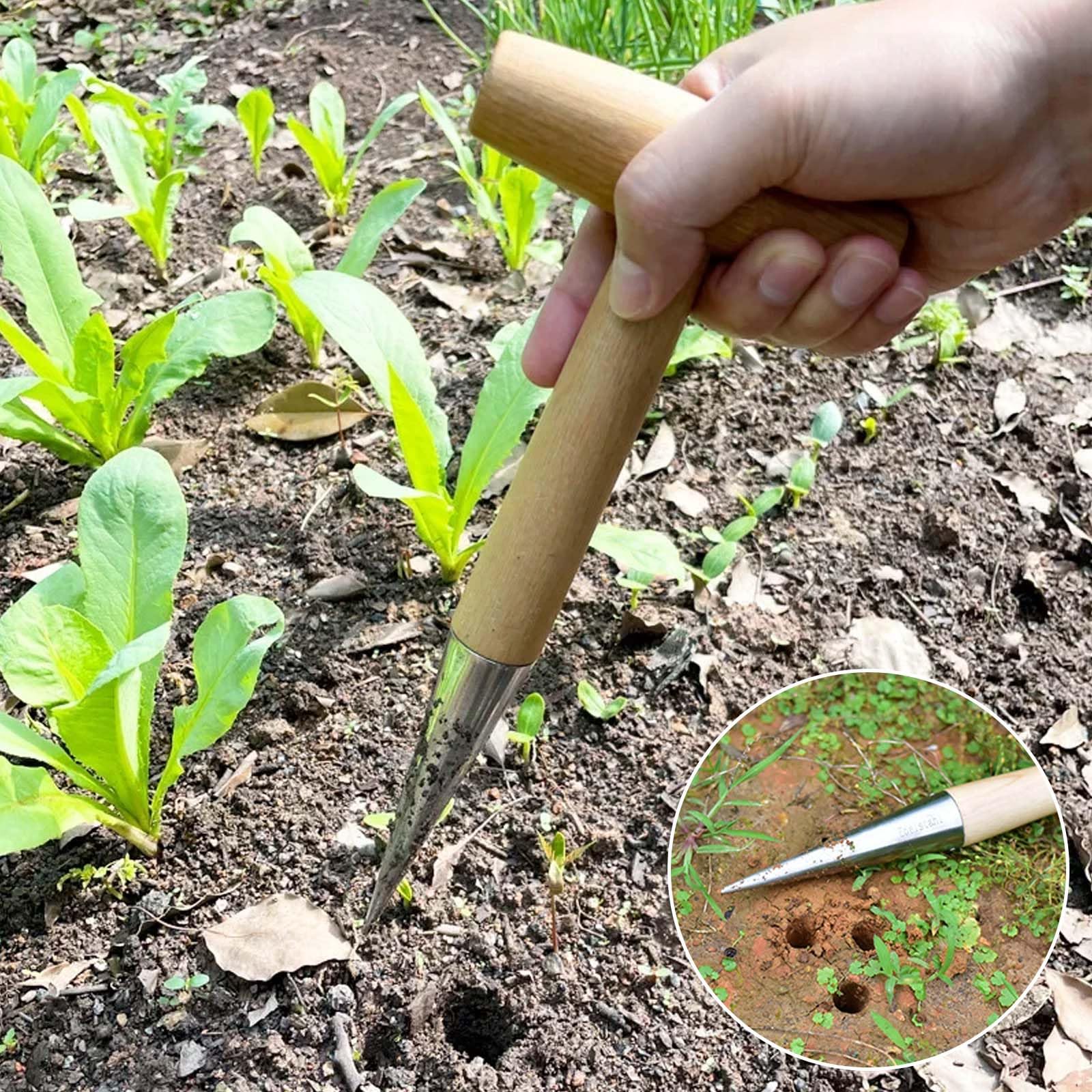 Set di 2 piantine di bulbi, bulbi per piante, peso leggero, piantagione di cipolle in acciaio inox con manico in legno e piantatrice di cipolle per giardini Bulb Plant