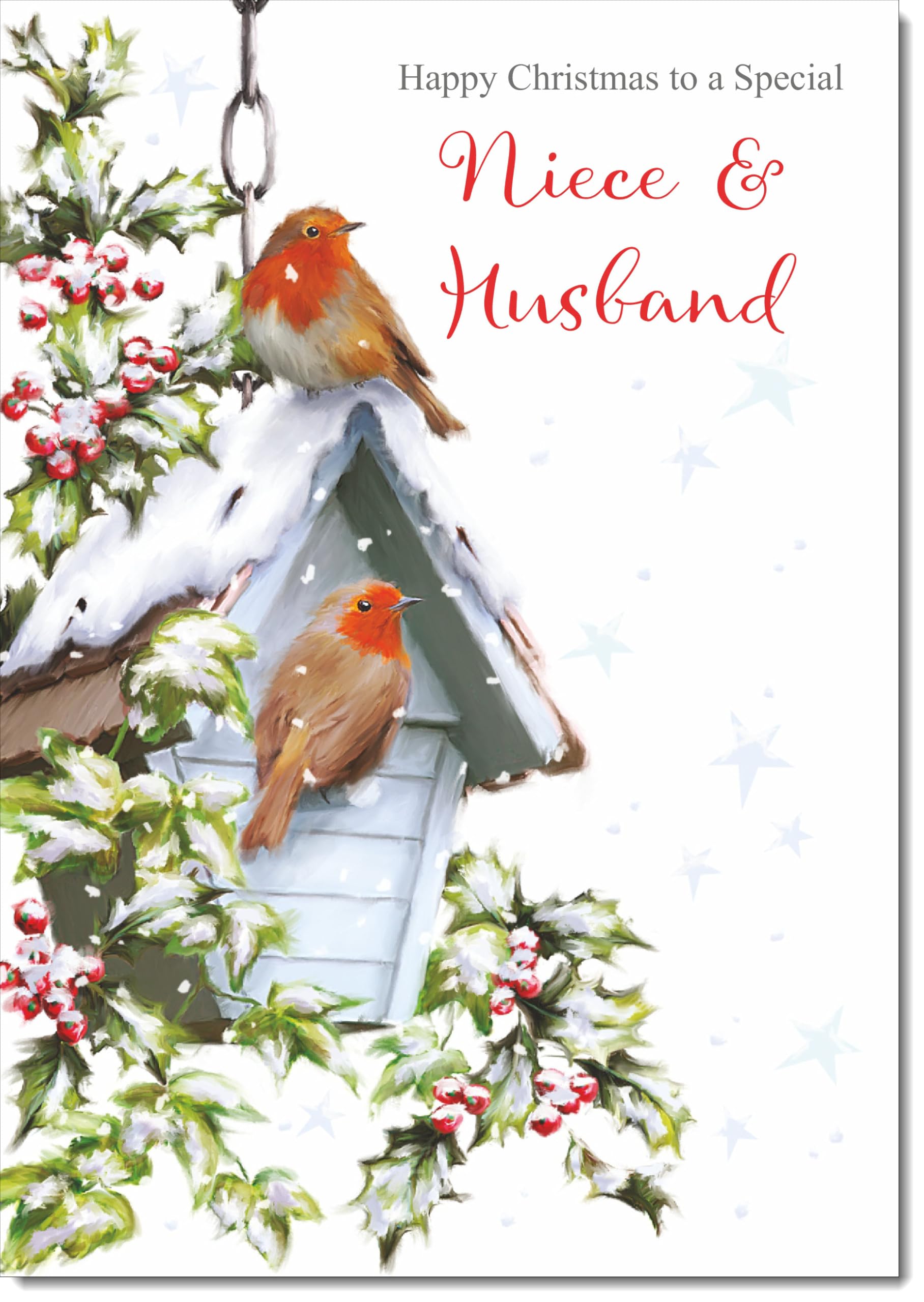 doodlecards Niece and Husband Christmas Card Two Robins in Snow Large A4 Size Christmas Card for Niece & Husband with Plain Envelope — image 1