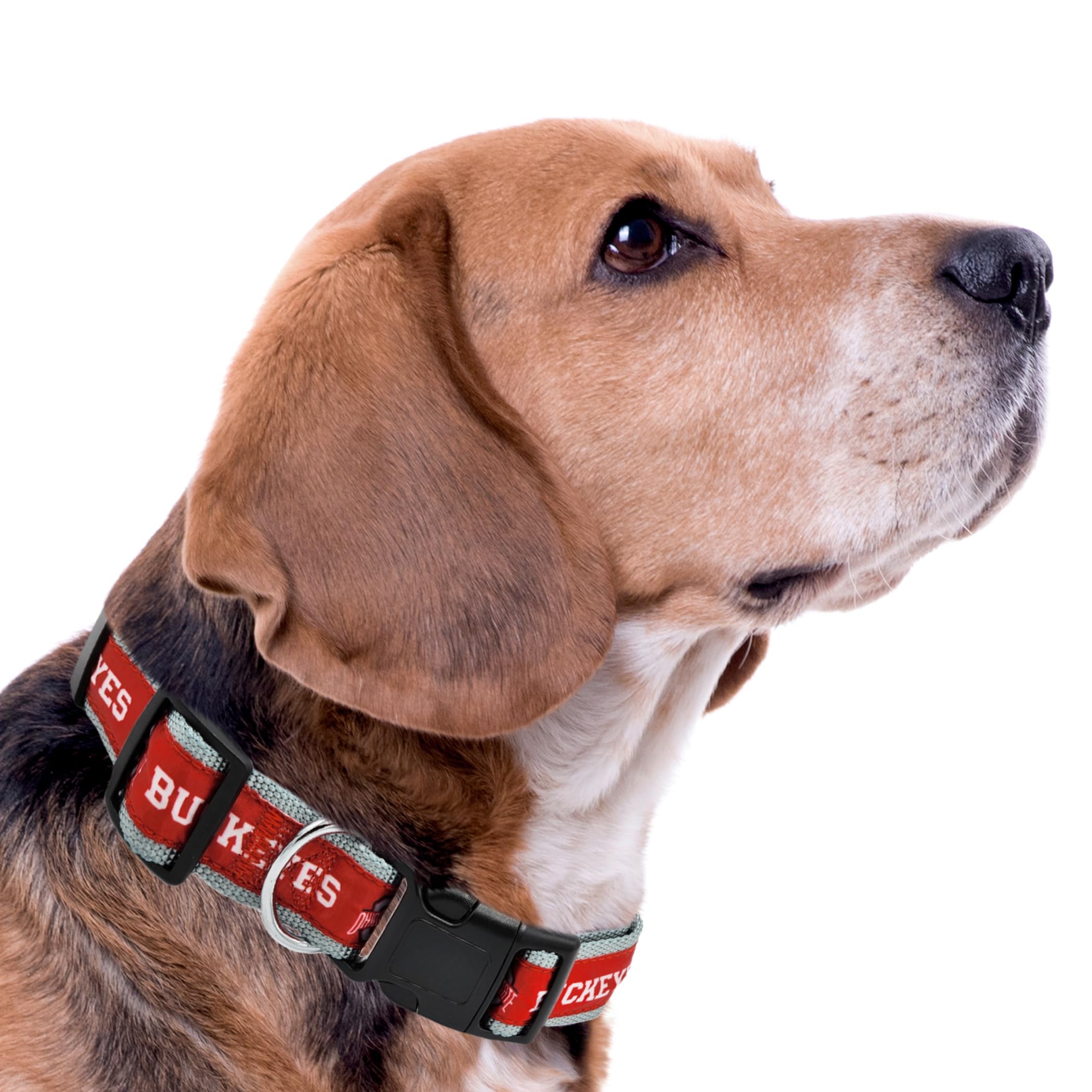 Ohio State Buckeyes Dog Collar - Official Collegiate Licensed Pet Accessory