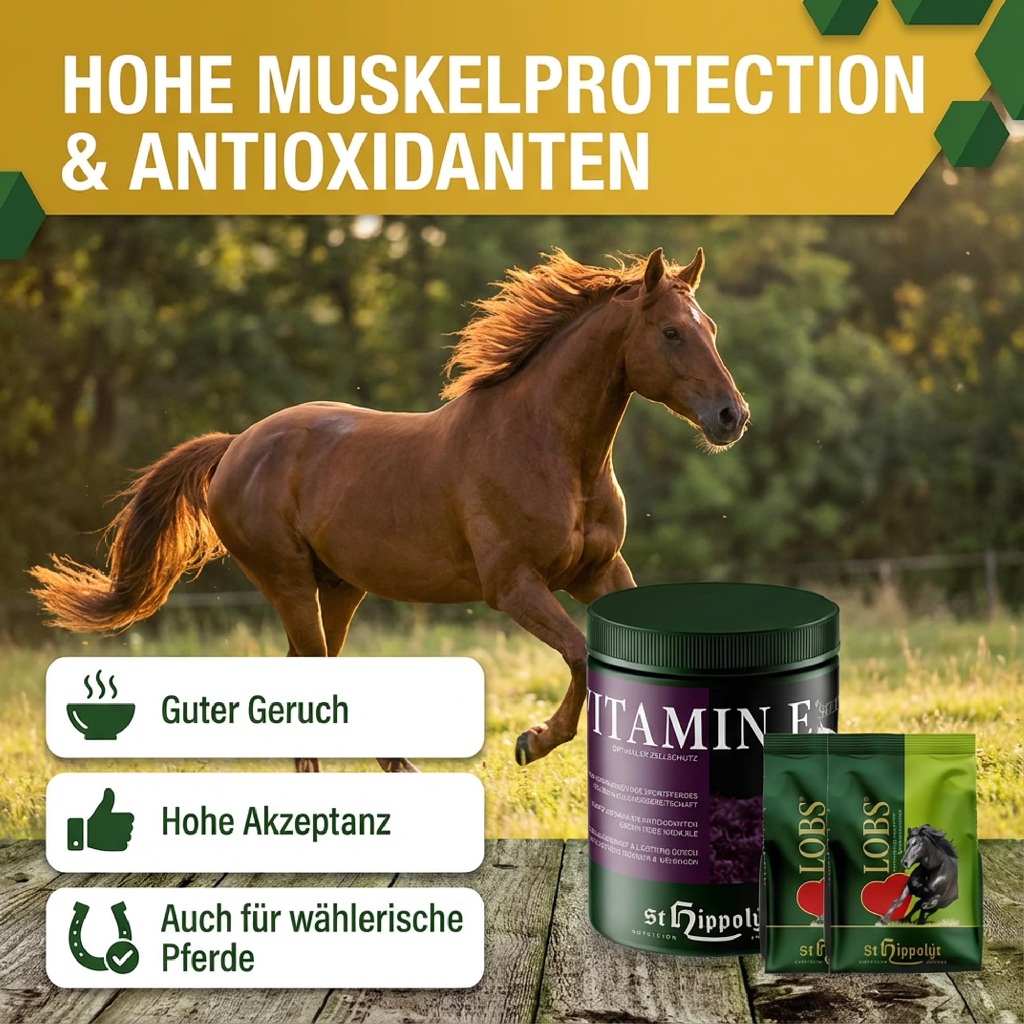 St. Hippolyt Vitamin E & Selen 1 kg - Ergänzungsfutter für Sportpferde für mehr Leistungsbereitschaft + St. Hippolyt Belohnungs-Lobs
