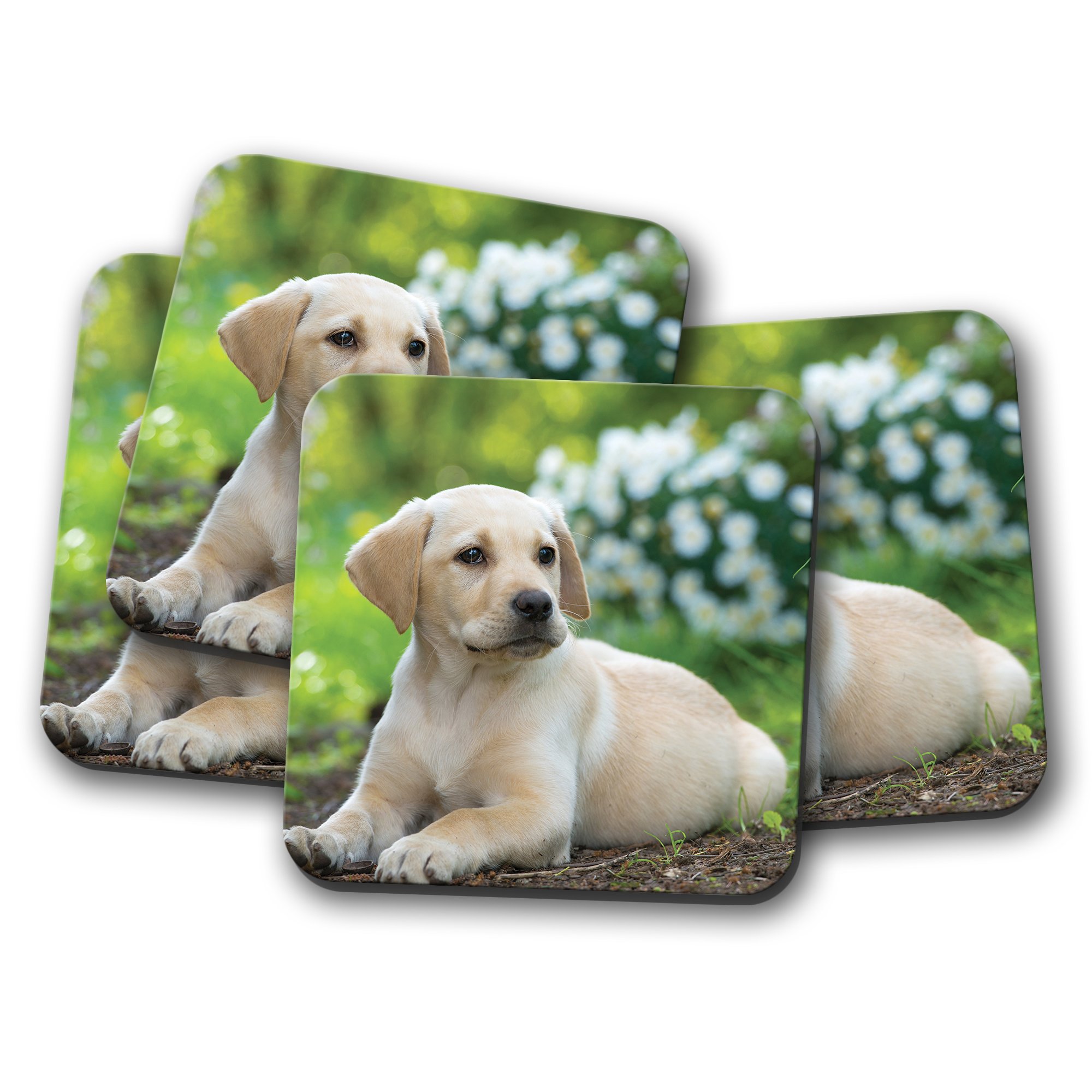 Destinationvinyl Multicolor 4 Set - Cute Labrador Puppy Cork Backed Drinks Coaster - Dog Dogs Golden Retriever #8396