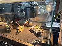 Review Image by ki ki