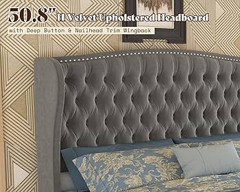 Amazon.com: AMERLIFE 51