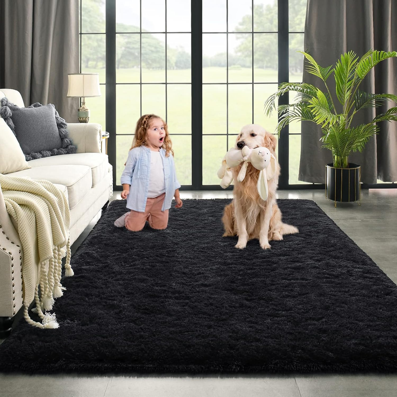 Kimicole Black Area Rug for Bedroom Living Room Carpet Home