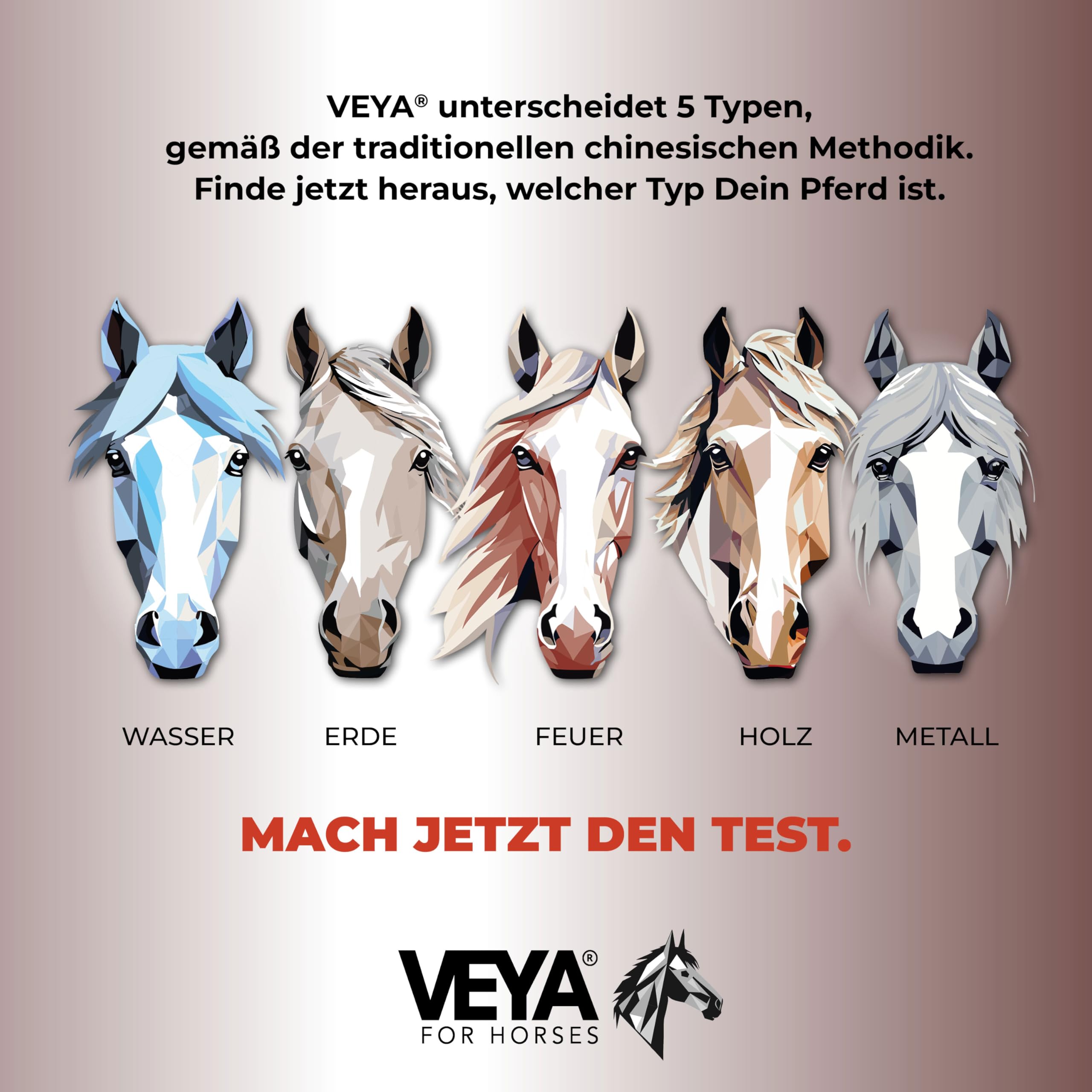 VEYA® by STRÖH Feuer-TYP 2 Gefäße & Herz-Kreislaufsaft (1L) • Ergänzungsfuttermittel für Pferde mit Weißdorn, Ginkgo & Herzgespann • Natürliche Unterstützung des Kreislaufsystems