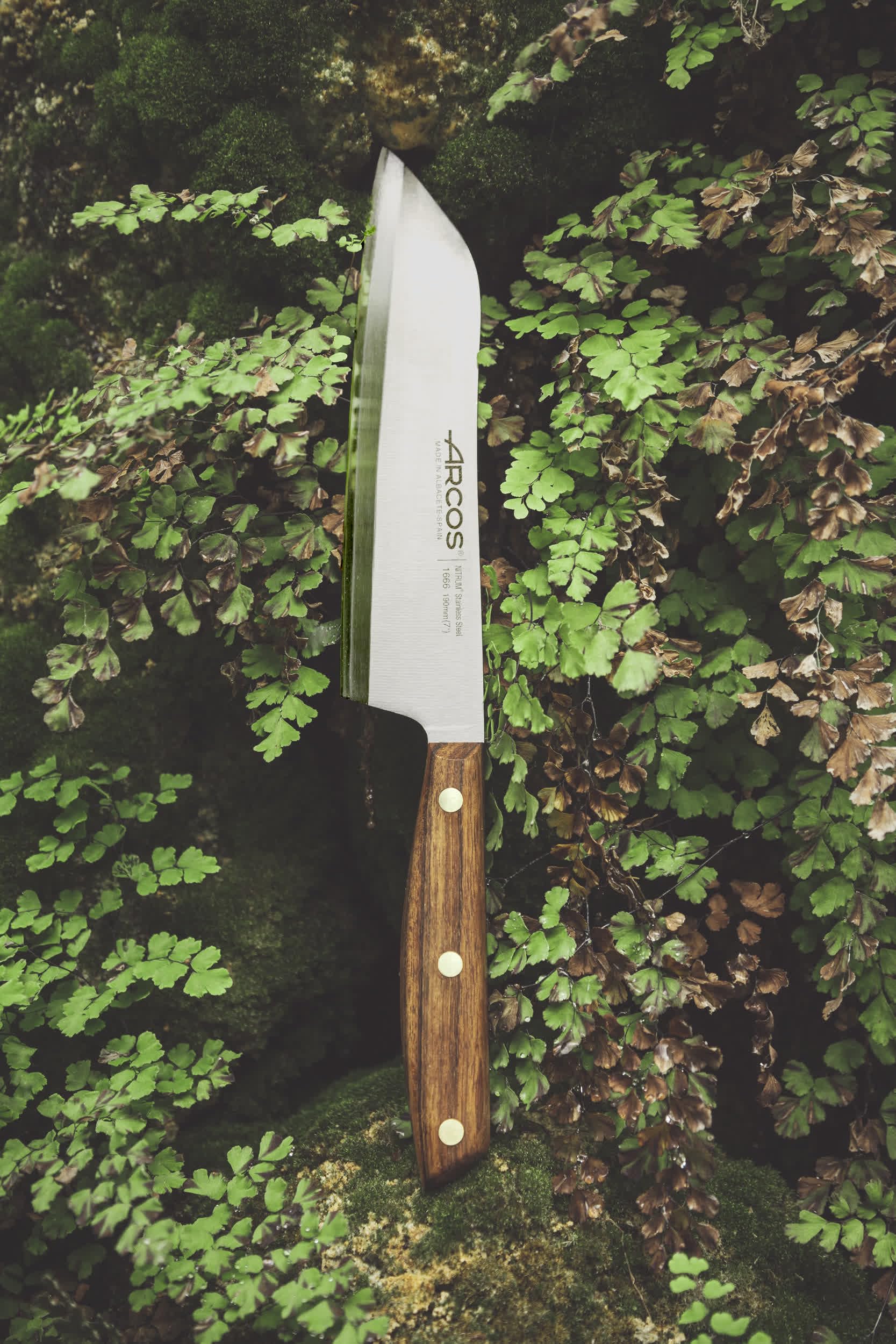 Arcos Serie Nordika - Santoku Messer - Edelstahl Nitrum - Klinge 190 mm - Ovengkol Holzgriff 100% natürlicher FSC - 100% recycelte Verpackung - Farbe Braun
