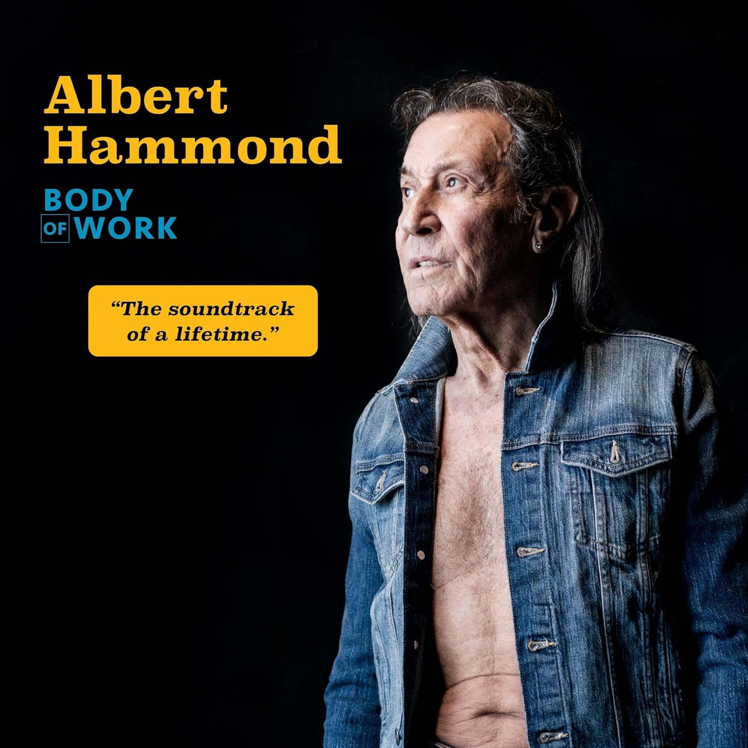 Body of Work por Albert Hammond — capa do álbum