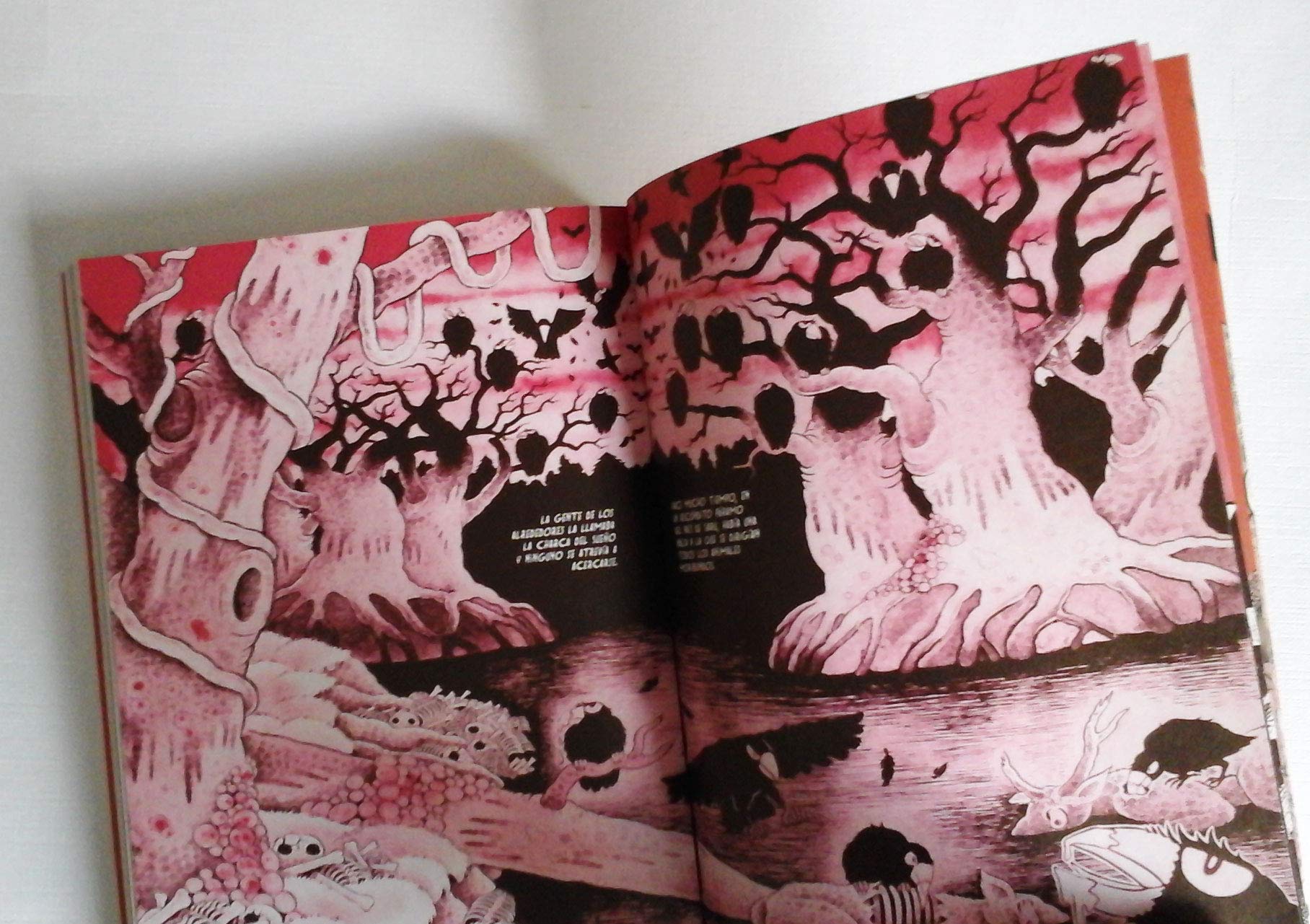 La enfermedad de Zoroku (MANGA TERROR)