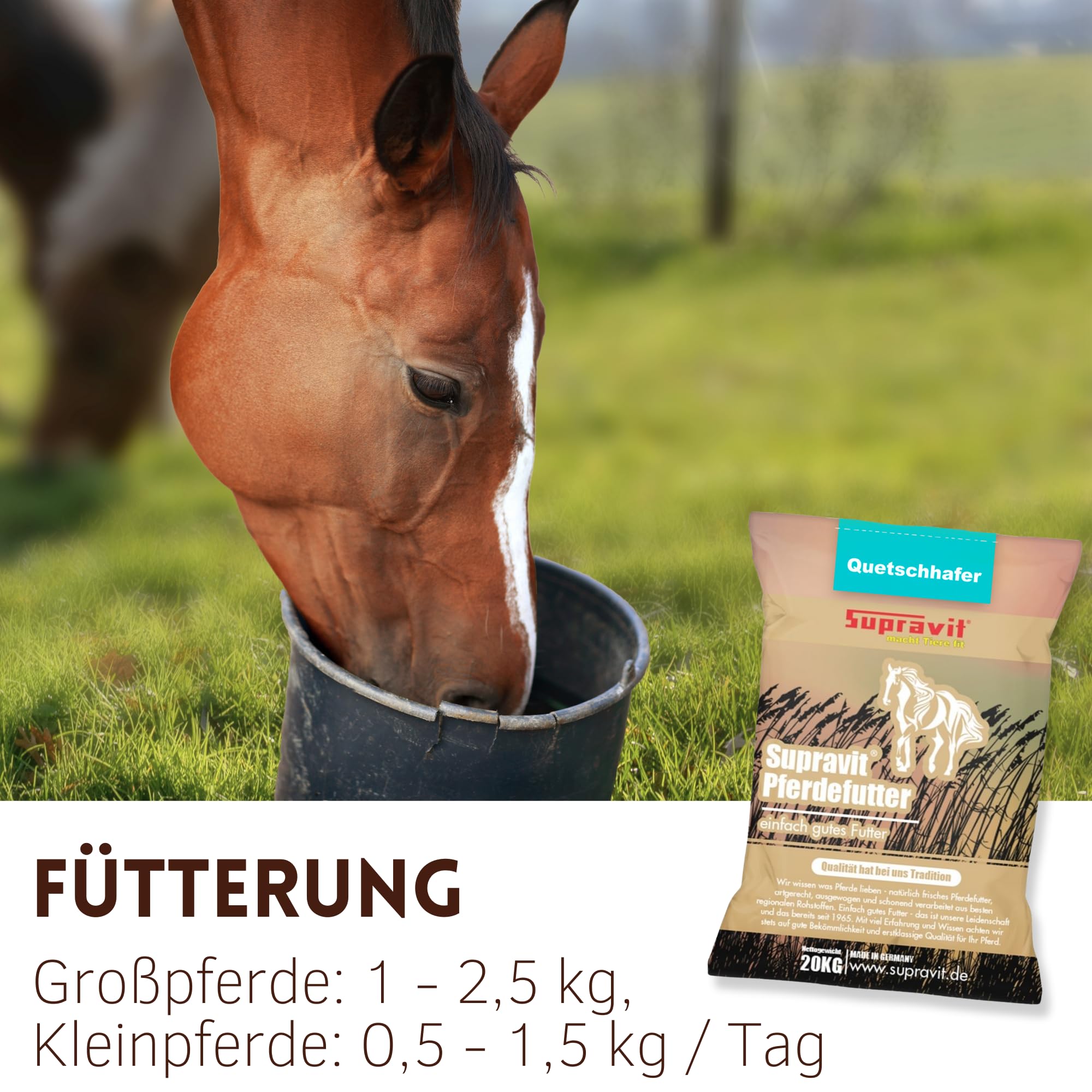 Supravit 20kg Hafer gequetscht | frischer Walzhafer | Energie & Kraftfutter Pferd & Pony I leicht verdaulich & gut verträglich I Wird erst gewalzt kurz vor Versand