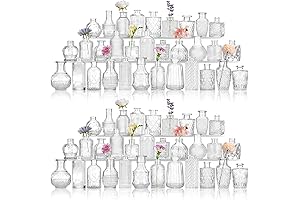 CEWOR Glass Bud Vases in Bulk: Adorn Every Occasion with Floral Elegance