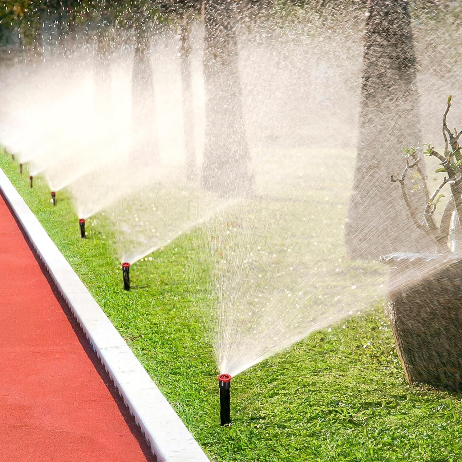 24 Stück Variable Bogendüse, Ersatz-Pop-Up-Sprinklerköpfe, kompatibel mit den meisten verstellbaren Pop-Up-Sprinklern, Sprühkopf für Gartenrasenbewässerung, hohe Effizienz (6AN, 10AN, 12AN)