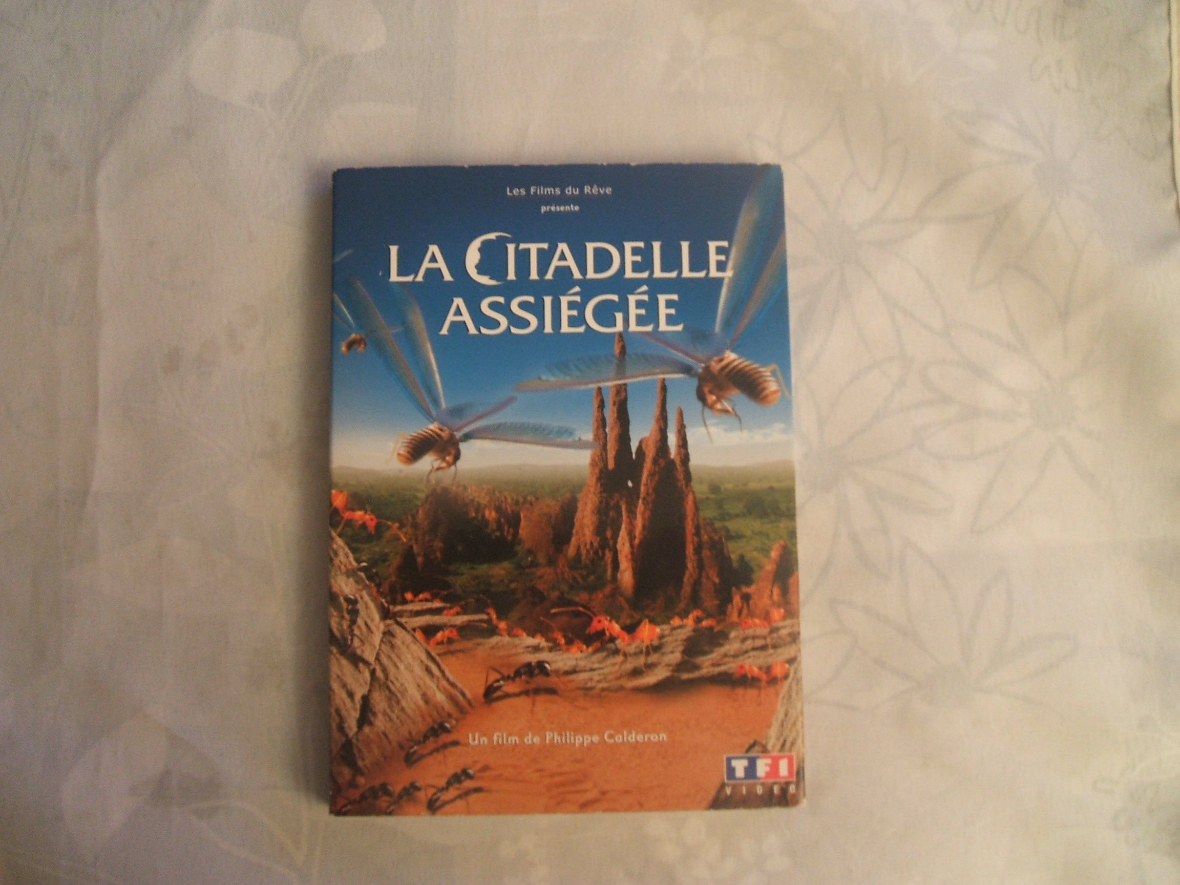 La citadelle assiégée
