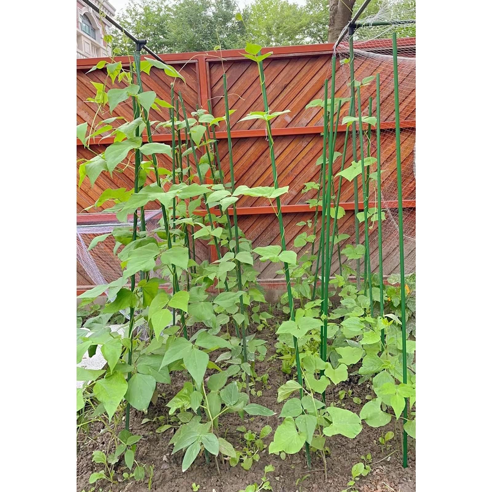 G-LEAF Pflanzenstütze, 25 Stück Pflanzenstab,Blumenstütze Zimmerpflanzen,Pflanzenhalter,rankhilfe zimmerpflanzen Kunststoff,Pflanzen Stabilisieren Stab,Pflanzstab,Blumenhalter (Grün/25PCS)