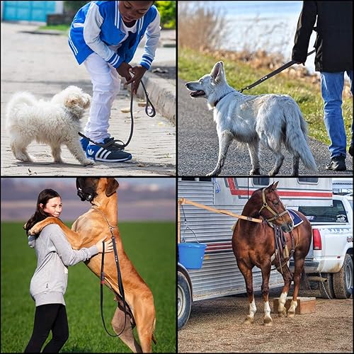 Miniatura 6 de Bolux Correa para perro de 5 pies, correa de cuerda resistente con 2 asas acolchadas, correa de entrenamiento de mascotas con doble asa reflectante