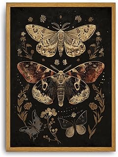 Djmwtb Vintage Framed Wall Art Moth Canvas Wall Art Prints Gothic Floral...