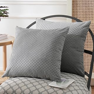 Light Grey Throw Pillow Covers 18x18 Inches Pack of 2 Soft Velvet Decorative Square Cushion Covers for Couch Sofa Bedroom Car,45x45Cm,Gray