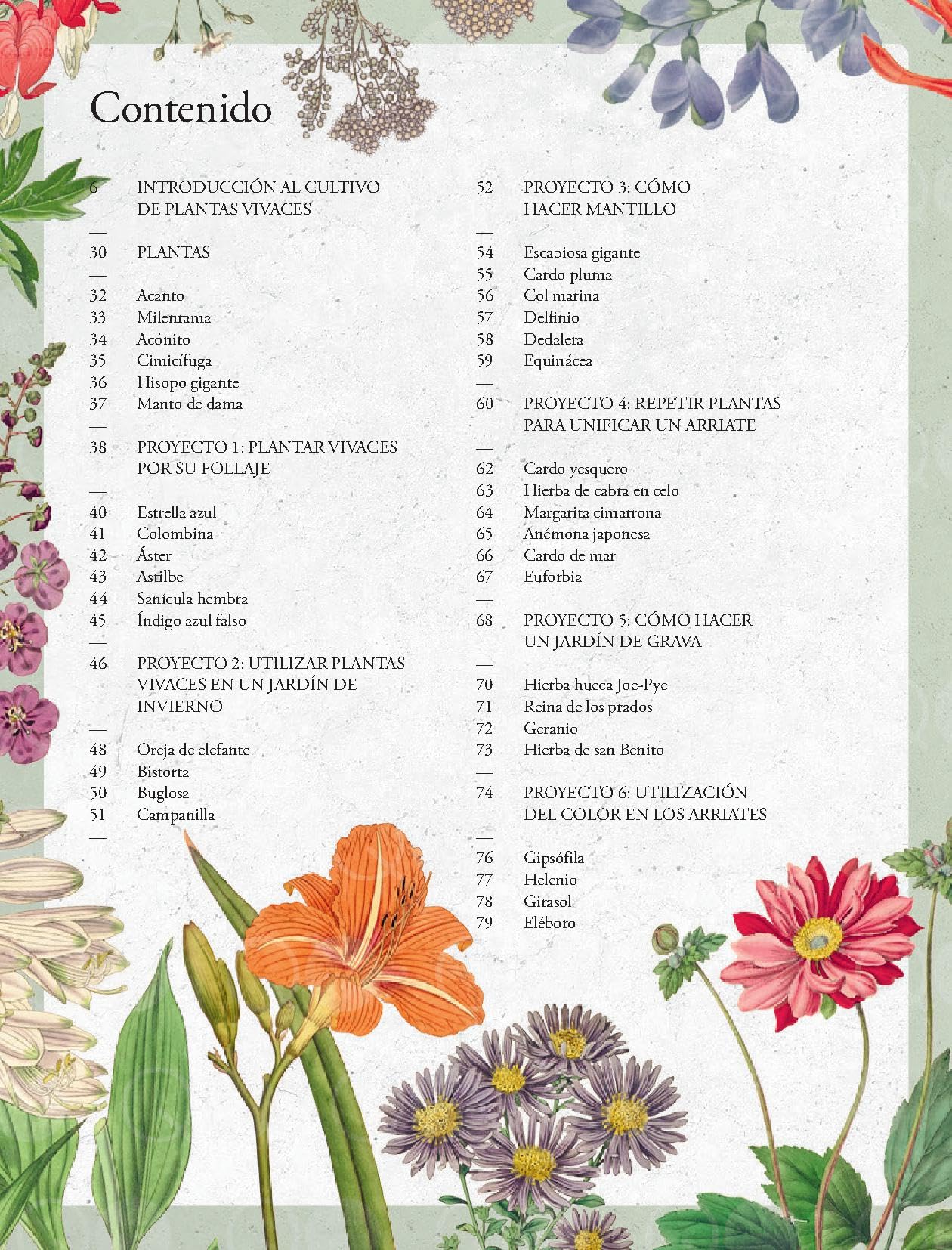 Cultivar plantas vivaces (JARDIN)