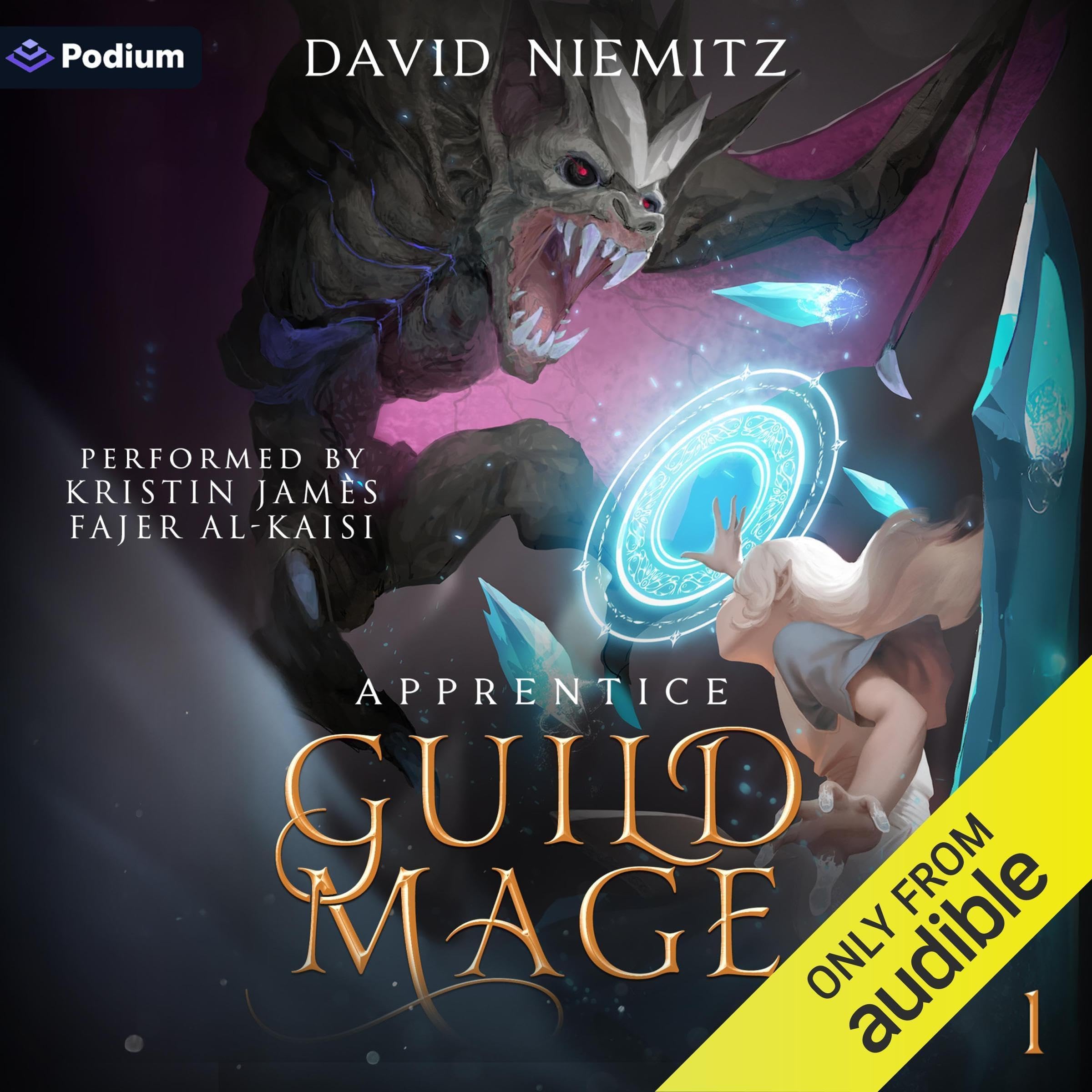 Guild Mage: Apprentice: Guild Mage, Book 1