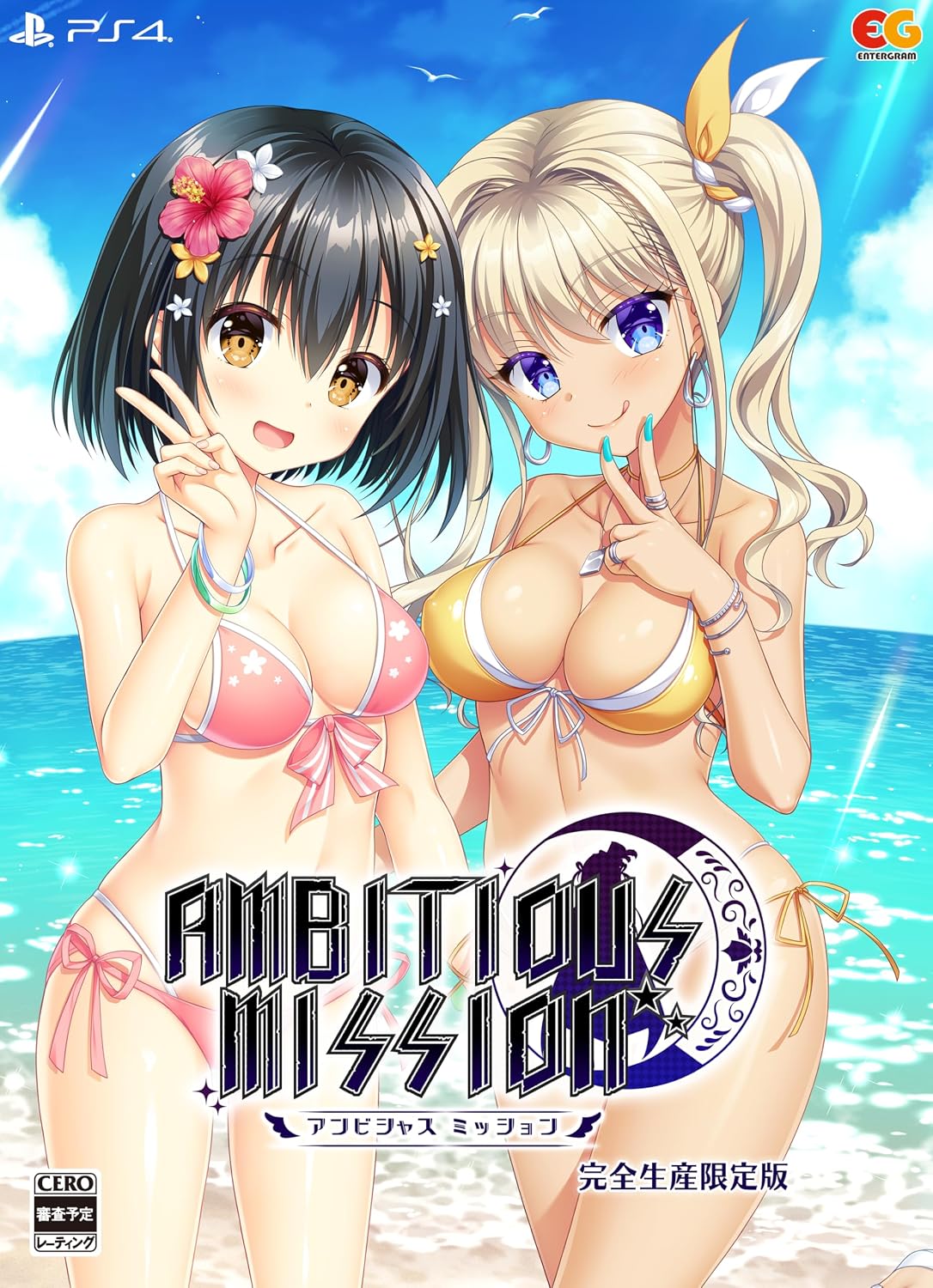 Ambitious Mission [Limited Edition]