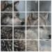 wolves Pictures-the wolf Puzzle Game