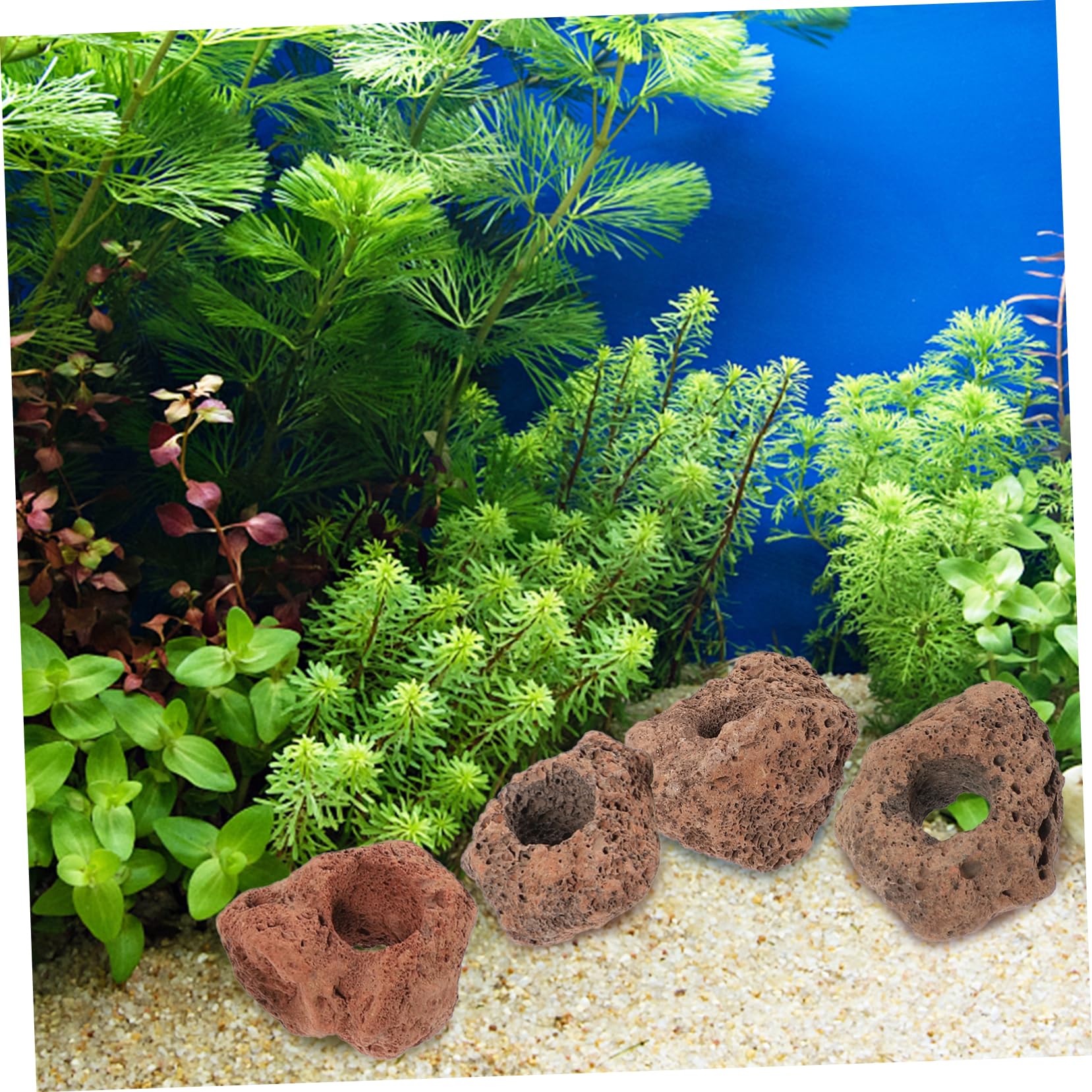 minkissy 10stücke Vulkanstein Aquarium Versteck Für Fische Naturstein Höhle Für Fischtanks Langlebig Einfach Zu Reinigen Mit Löchern Für Spiel Und Versteckmöglichkeiten Für