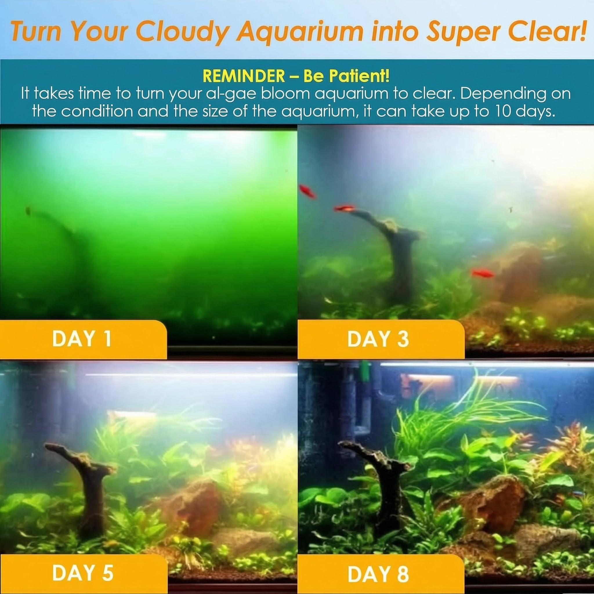 Pompa ad per Acquario e pulitore per vasche per Pesci, Pompa