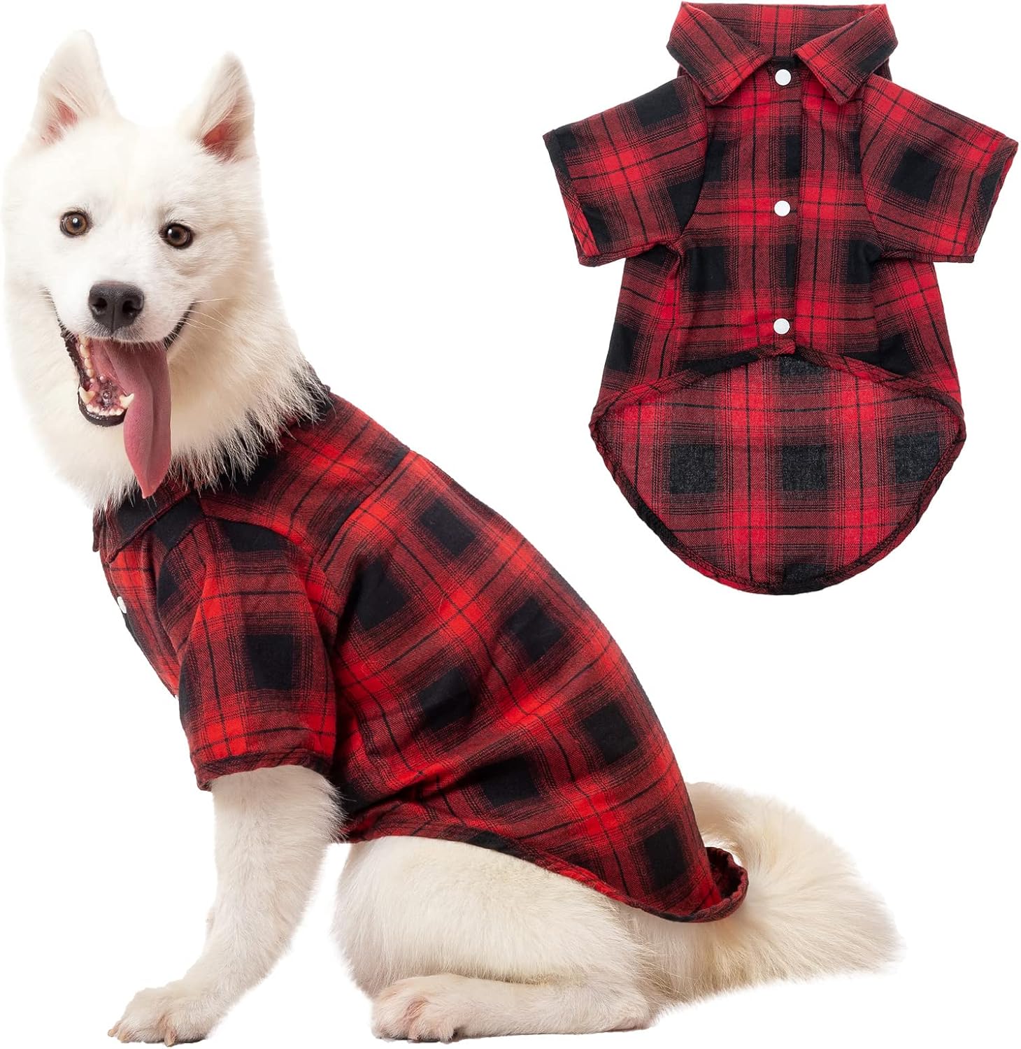 Can You Take Dogs Abroad On Holiday