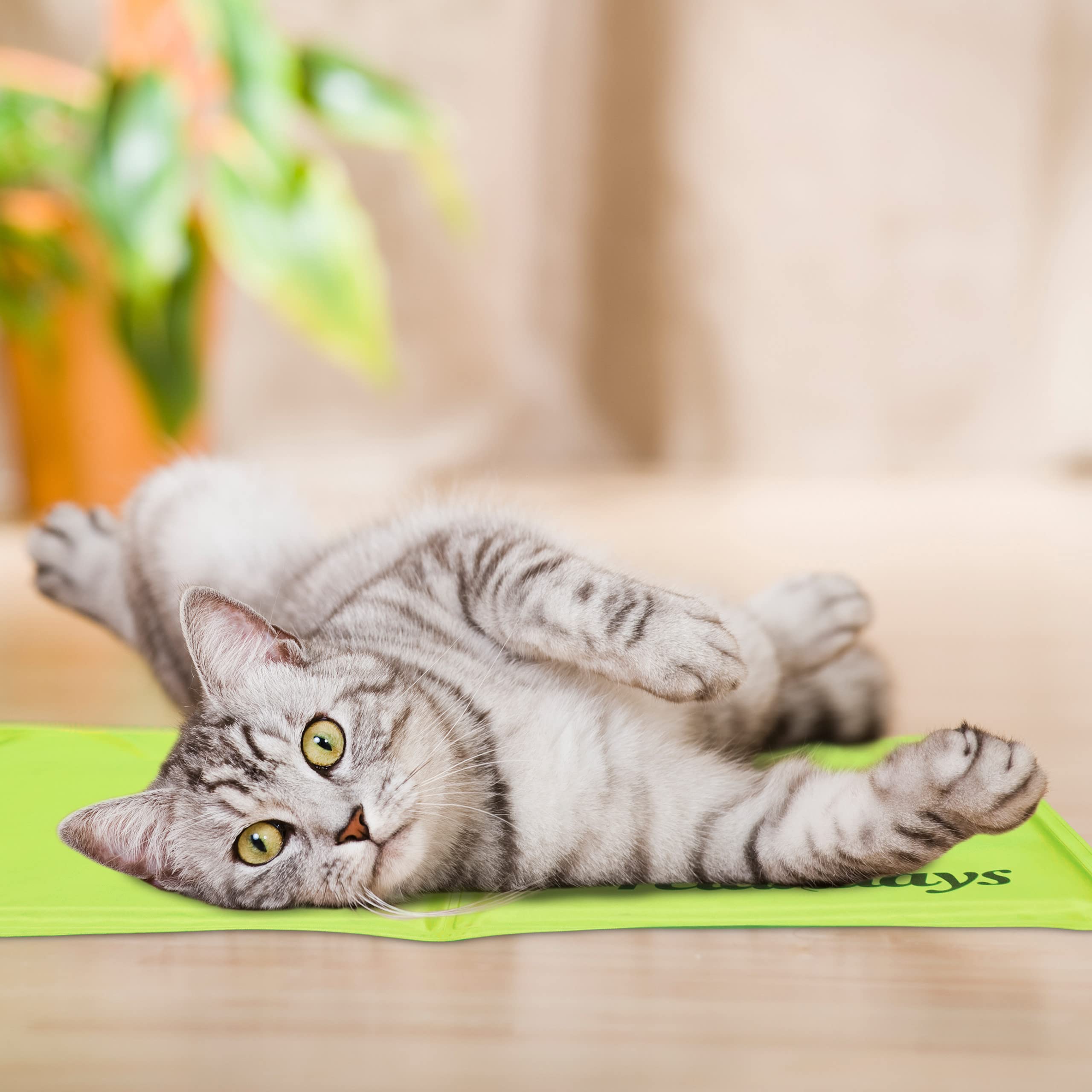 Relaxdays Tapis rafraîchissant pour Chien, 60 x 100 cm, Matelas Auto-rafraichissant, Gel, pour Vos Animaux, Vert