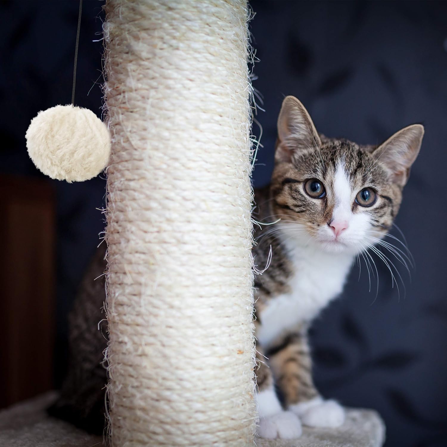 review Freestanding Scratching Post for Cats with Sisal Post and Ball, 54 cm, Grey