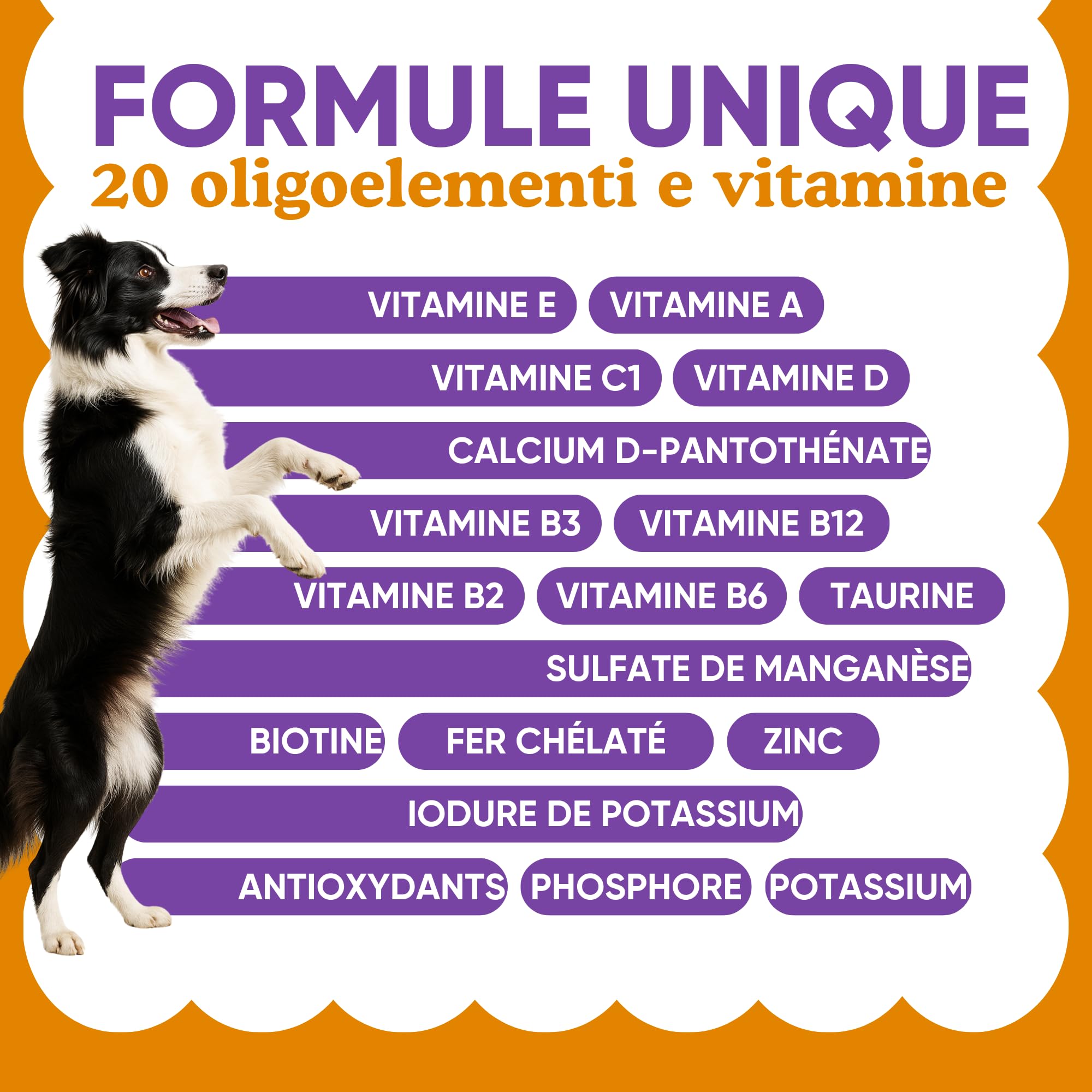 Complément Multivitaminé Complet 11 en 1 | Poudre pour Chiens (250g) | 20 Vitamines et Minéraux & Moringa Bio | sans Appétents Animaux | Idéal pour Régime Maison | Fabriqué en Italie - WELLFOOF