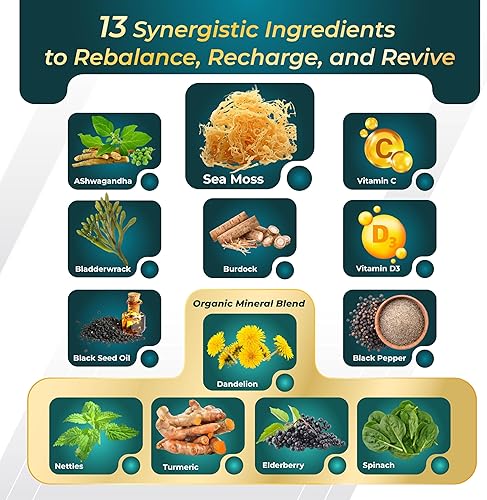 Miniatura 4 de Musgo marino prémium con Ashwagandha, vejiga de bardana, semillas negras para sistema inmunológico, piel, digestión y energía, fabricado en los