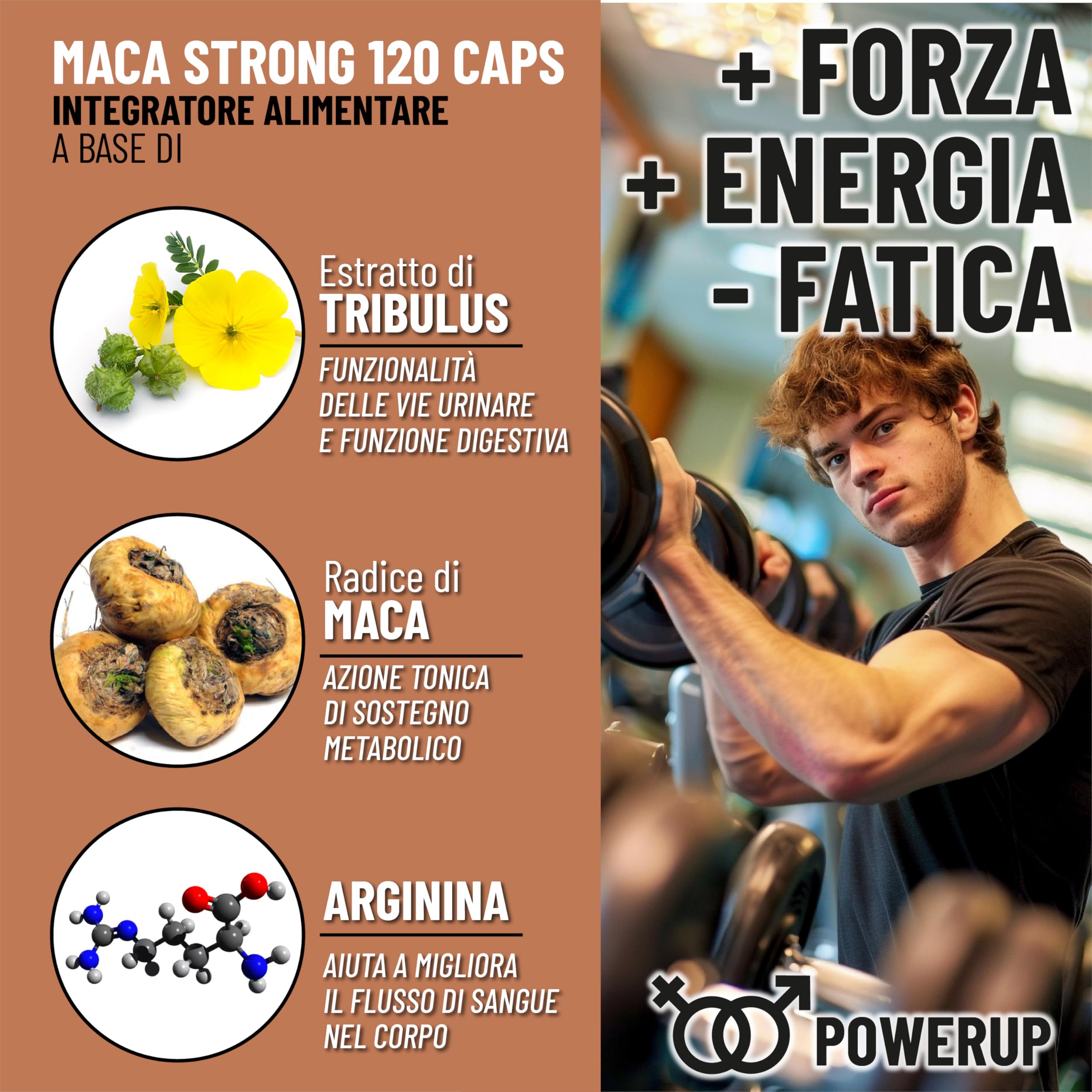Integratori sessuali per uomo Maca, Arginina, Tribulus Terrestris, Zinco e Vitamine B – Energia e Vitalità Uomo – Supporto Testosterone e Performance – vigore e libido