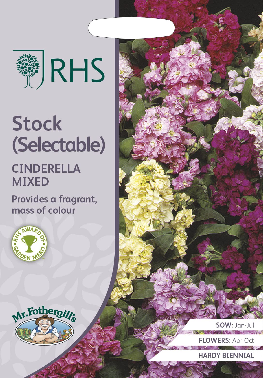 Mr Fothergill's - RHS Stock Cinderella Series Mixed