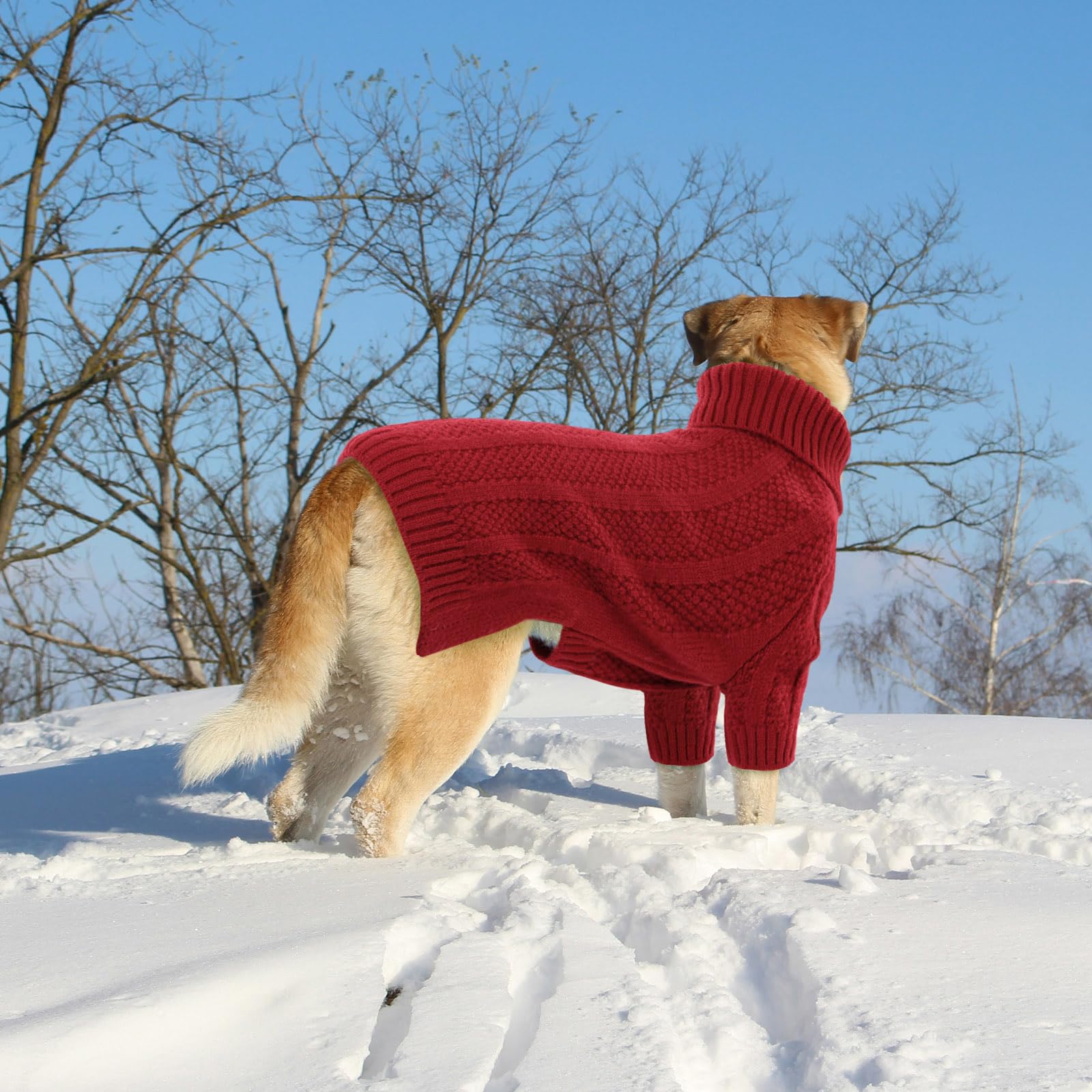 Queenmore Pull Chien Grande Taille, Doux Col Roulé Hiver, Vetement pour Teckel, Bouledogue Français, Lévrier, Whippet, Corgi (Rouge, M)