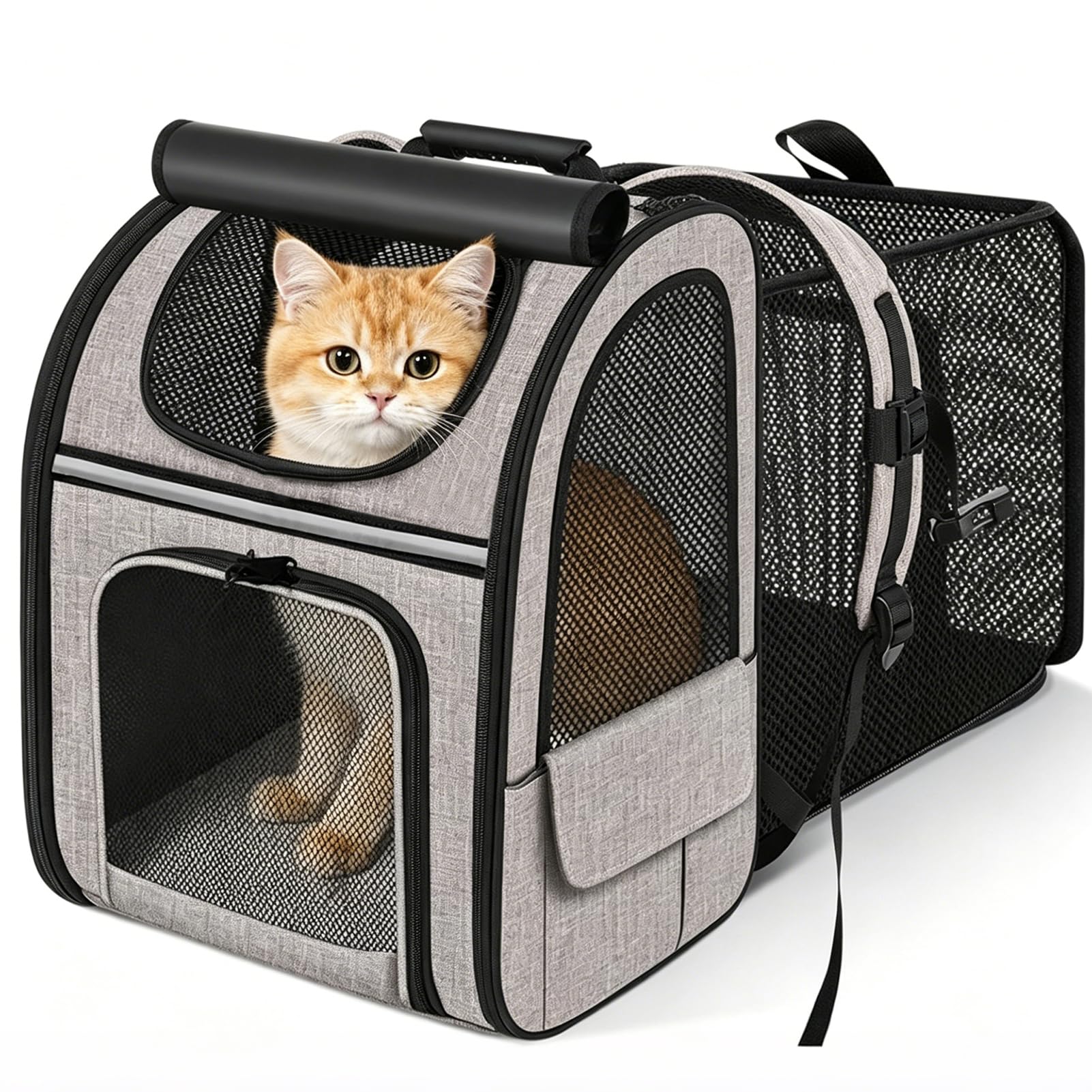 Zaino Espandibile Per Gatti–Zaino Per Cani Fino A 8 Kg,Pieghevole, Per Gatti,Cani,Con Guinzaglio Di Sicurezza Interno E Tappetino Per Animali Domestici,Borsa Per Il Trasporto Di Gatti(Massimo 8 kg)