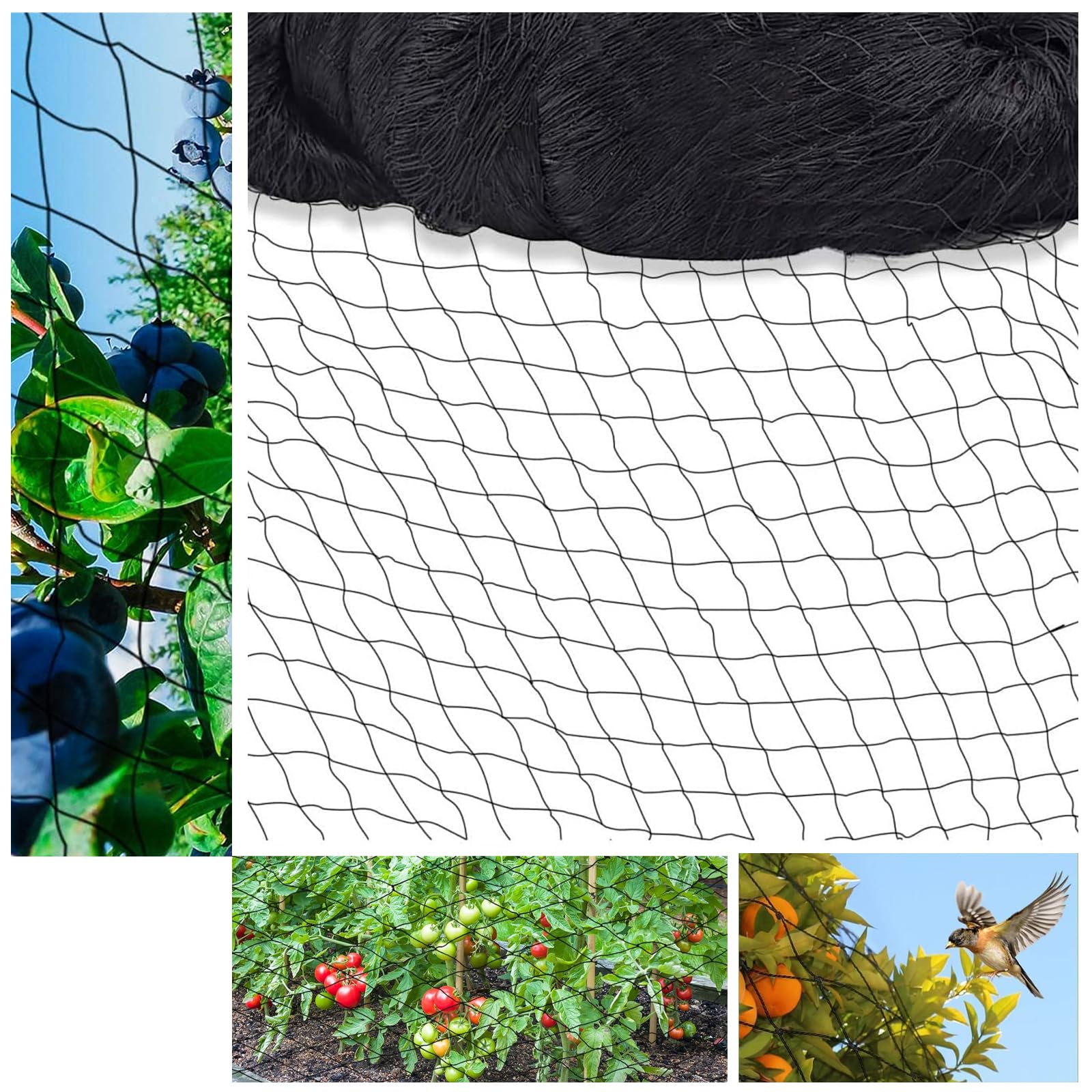 Filet Anti-Oiseaux 15x15m - Mailles 5x5cm - Protection Jardins, Poulaillers - Nylon Résistant