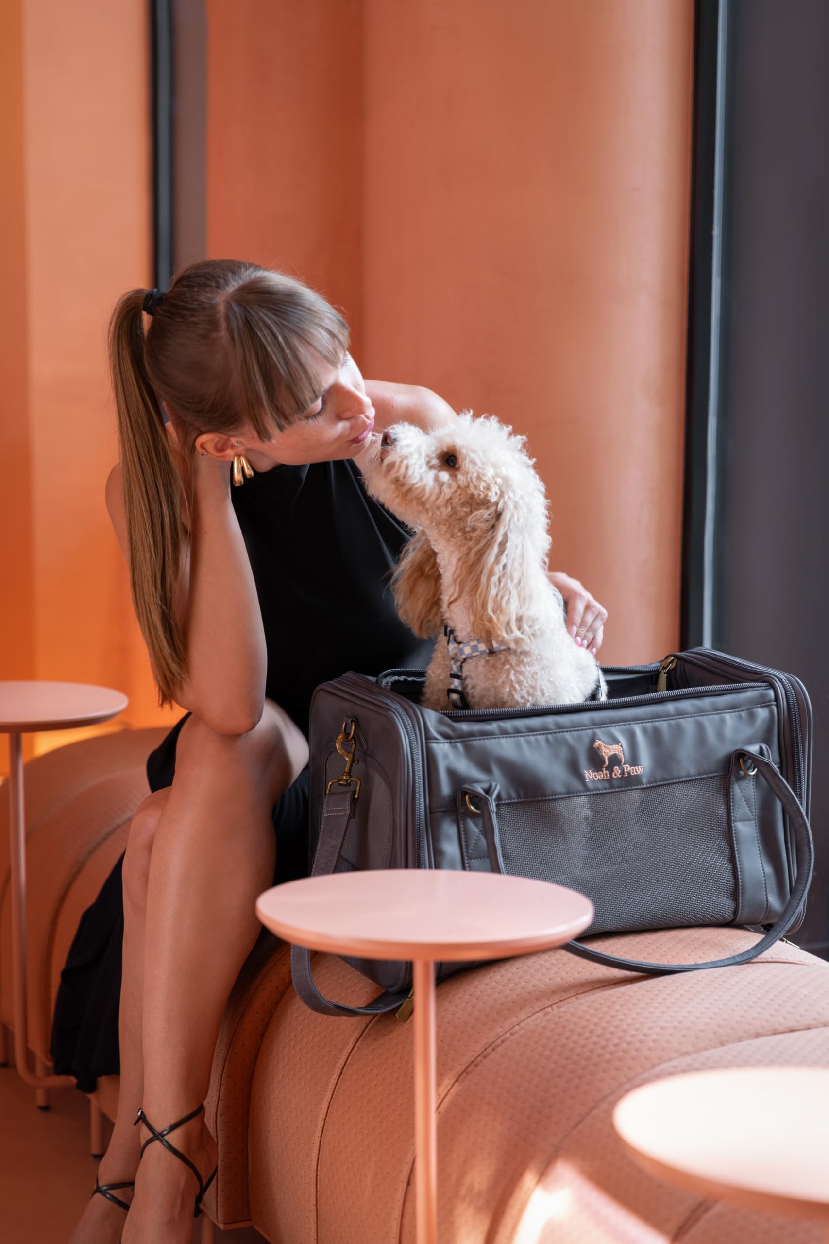 Noah & Paw Transportín Blando para Gatos y Perros Pequeños, Aprobado TSA Aerolíneas 46x28x28cm, Jaula de Viaje para Mascotas, Kennel Pequeño, Colchoneta Incluida, Cuero Sintético Carbón