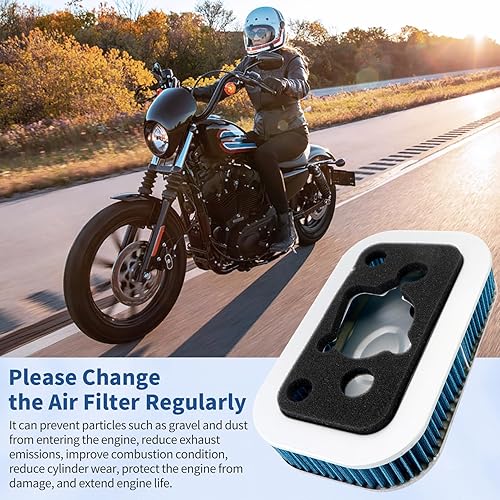 Miniatura 4 de Filtro de aire 29036-88B 29331-96 compatible con Harley Sportster 1200 883 Custom Sport Anniversary XLH1200 XL1200C XL1200S XLH1200S XLH1200 XLH883