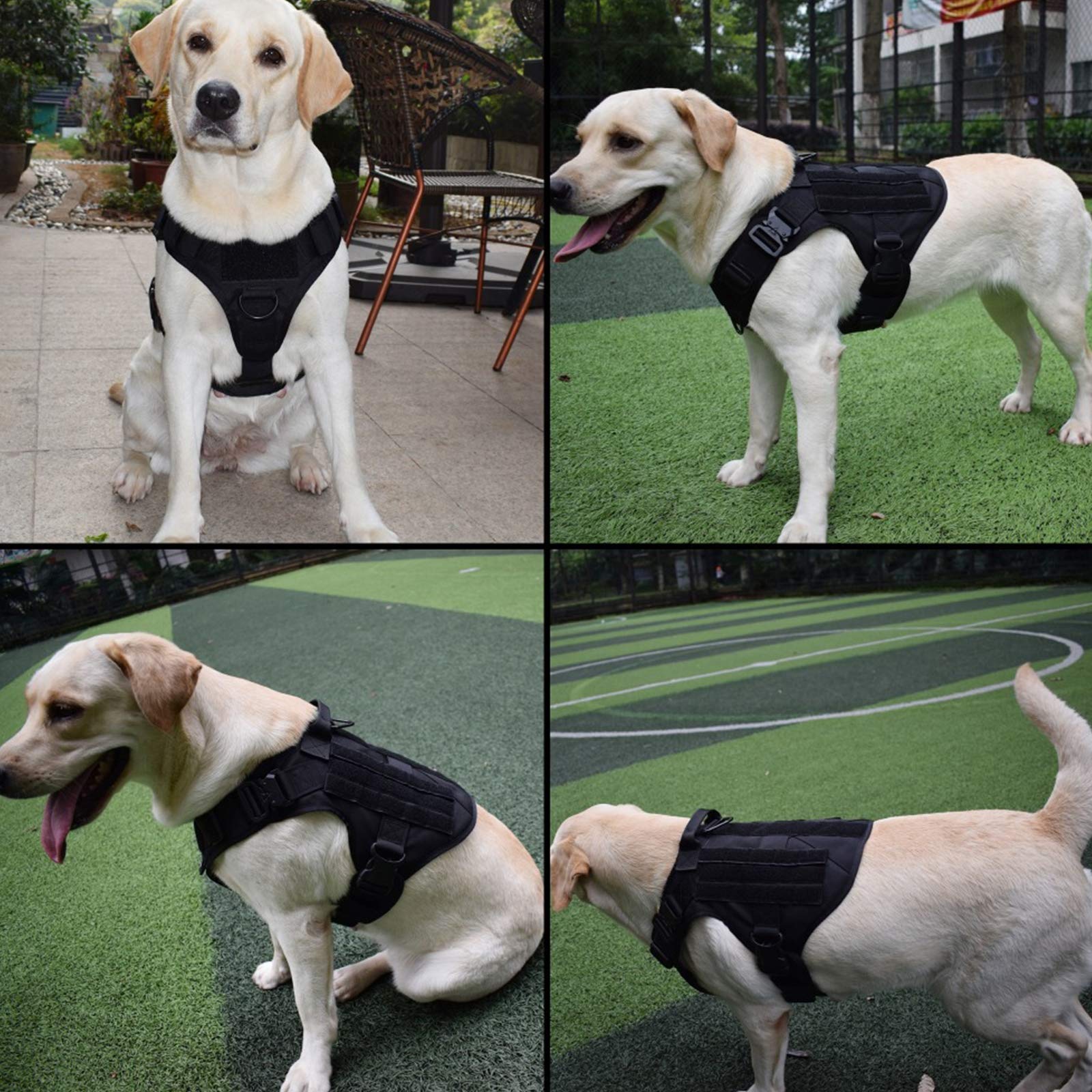 Arnés Perros Chaleco Táctico Y Correa,Arnés Táctico Ligero para Perro con Mango, Entrenamiento De Trabajo Molle Chaleco, Clip Frontal Sin Tirar para Perros Grandes Y Medianos,Negro,L