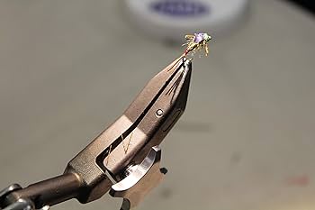 81jSGPXh4YL._AC_UF350,