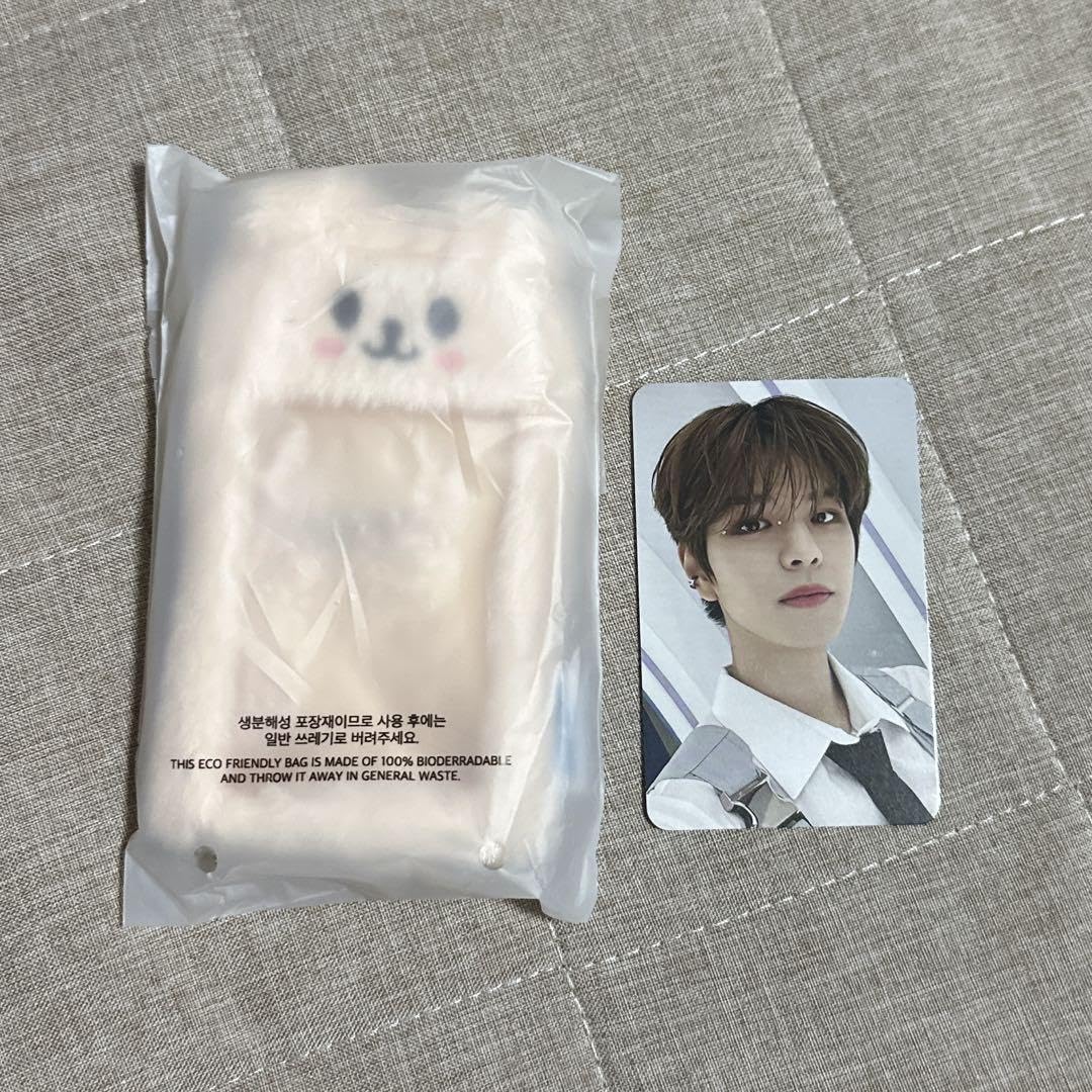 Amazon.co.jp: straykids スキズ pilot ペンミ トレカケース 特典 