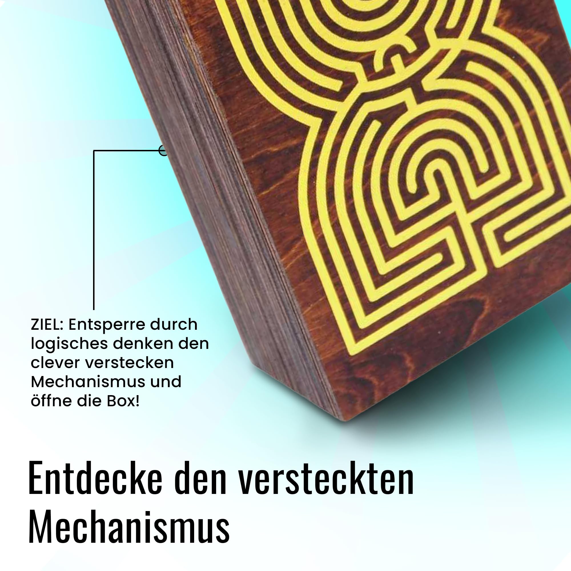 Logica Spiele Art. Labyrinth Puzzle Box - Geheimschachtel - Schwierigkeit 5/6 Unglaublich - Geschenkbox - Denkspiel aus Holz - Knobelspiel - Geduldspiel - Leonardo da Vinci Kollektion
