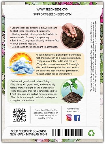 Miniatura 2 de Seed Needs Semillas de sedum para plantar suculentas de sangre de dragón, reliquia y flores polinizadas abiertas para plantar un jardín de hadas de