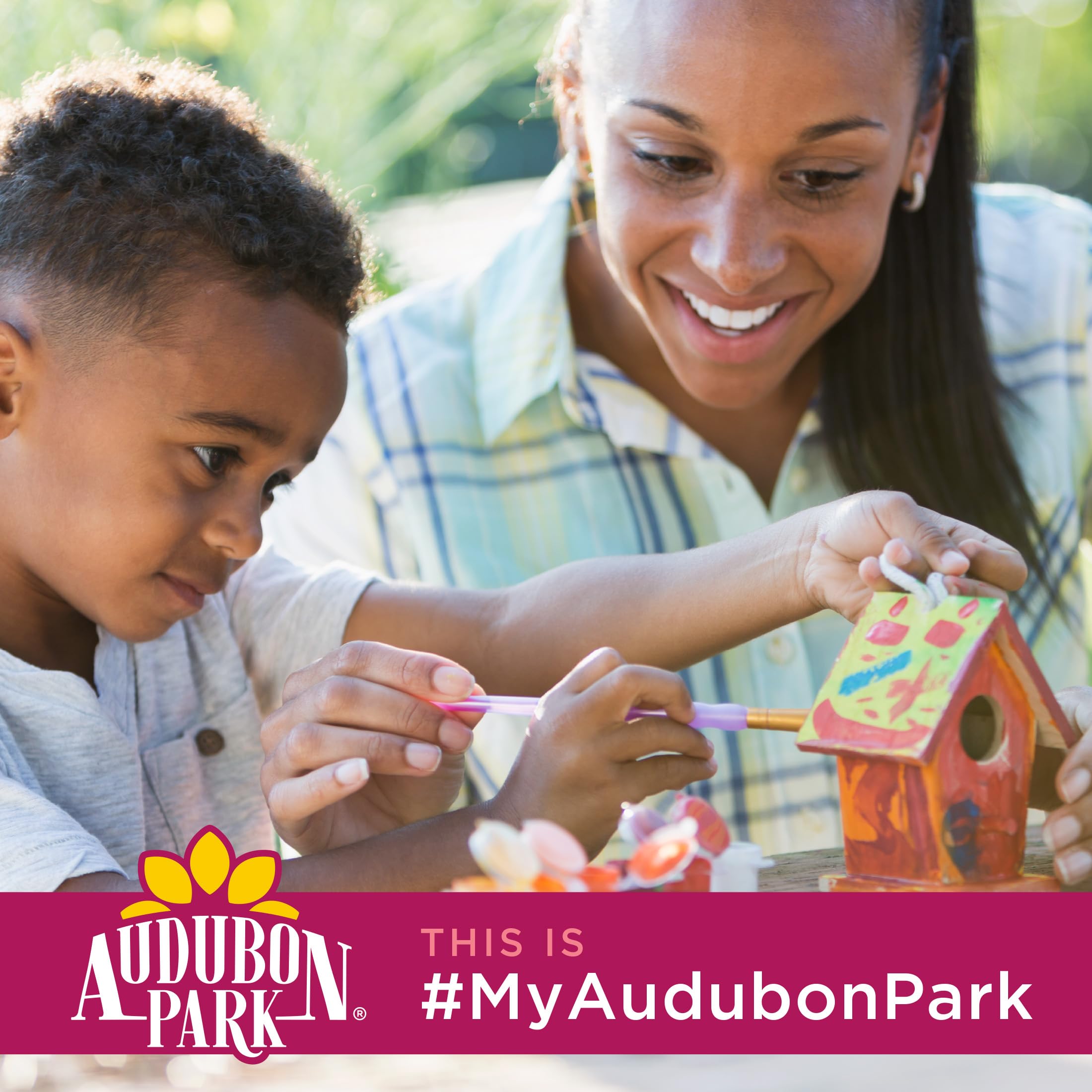 Audubon Park Semillas de pájaros silvestres con corazones de girasol para comederos exteriores, bolsa de 15 libras