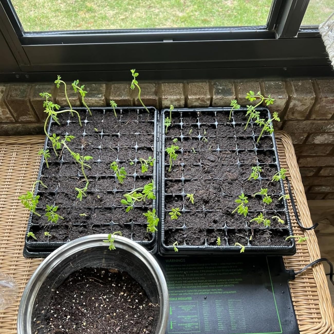 Heavy Duty Seed Starter Trays with 5'' Tall Humidity Domes & 2.75'' Deep Cells – 3-Pack (162 Cells Total) Reusable Plant Germination Kit, Durable Plastic Seedling Trays for Herbs, Vegetables - Image 6