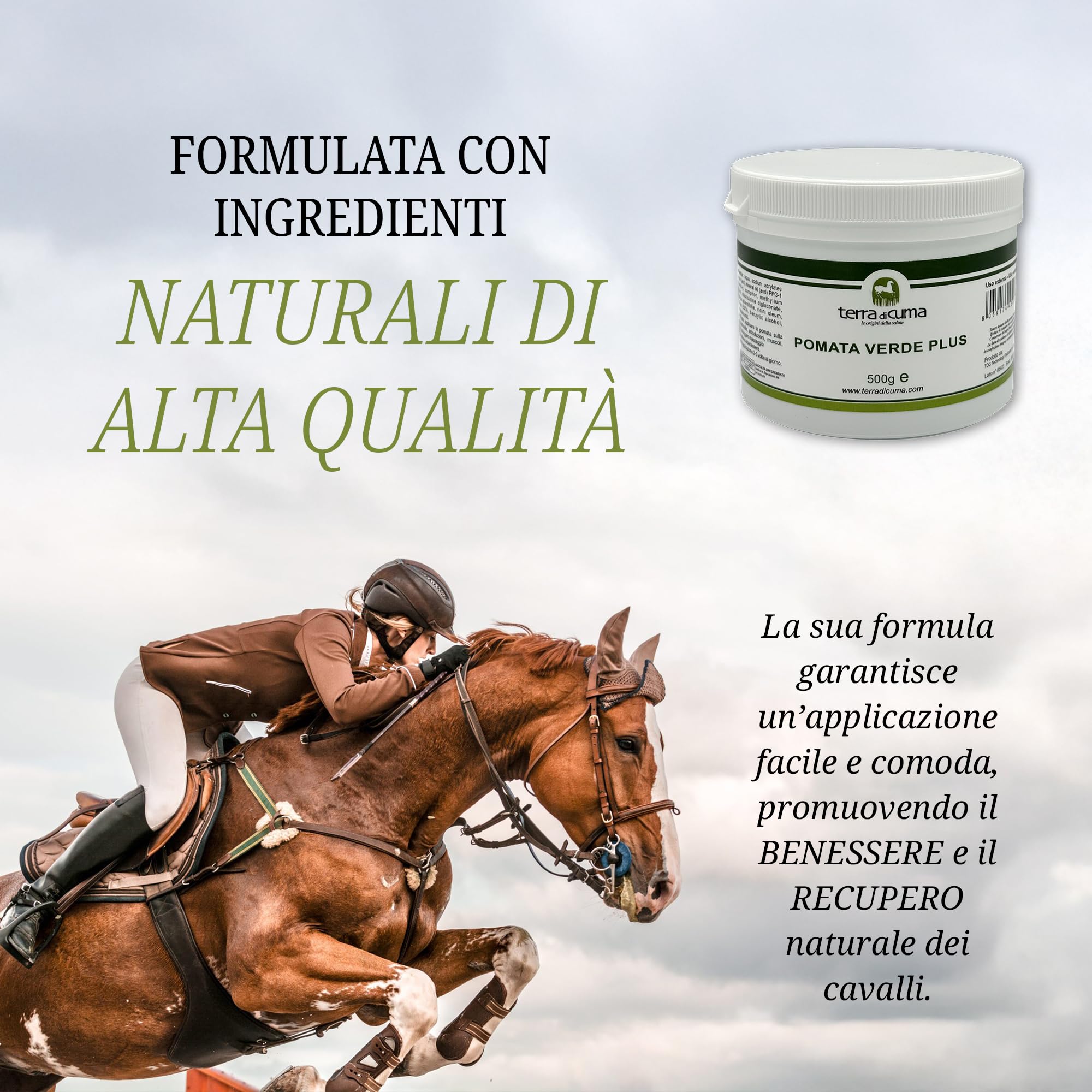 Remy Stick Pomata Arnica Sollievo Dolori Muscolari 60ml Remy Stick Pomata Arnica Sollievo Dolori Muscolari 60ml