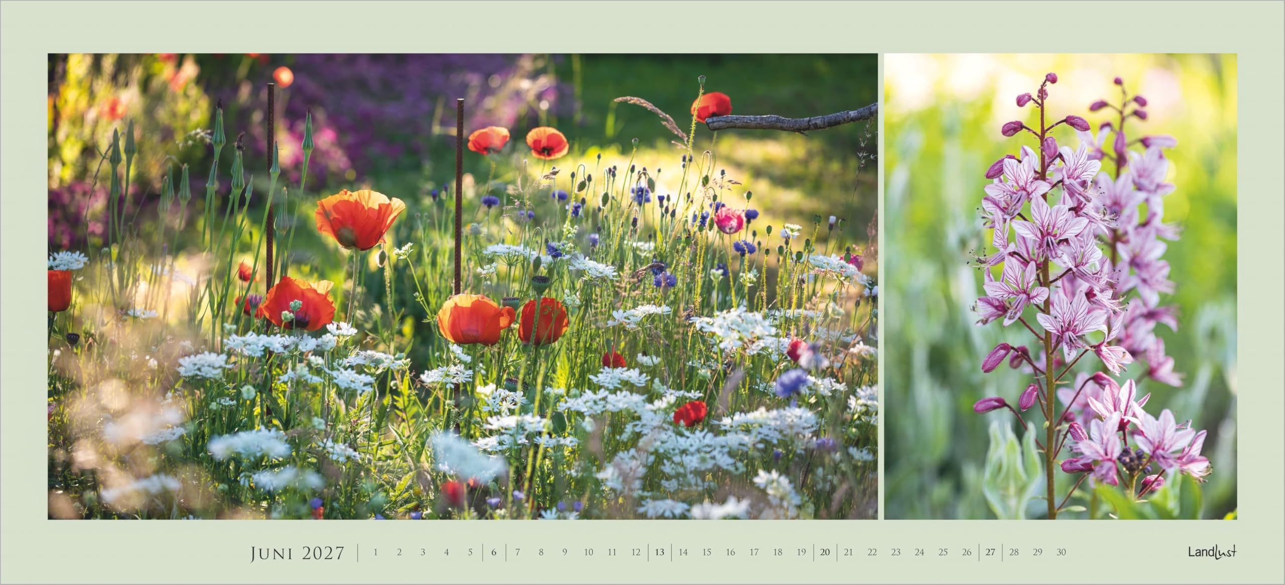 LandLust Panorama: Garten-Kontraste 2027: Wandkalender 110x50 cm mit großformatigen Fotografien aus Landhaus-Gärten | Wandkalender 110x50 cm mit großformatigen Fotografien aus Landhaus-Gärten