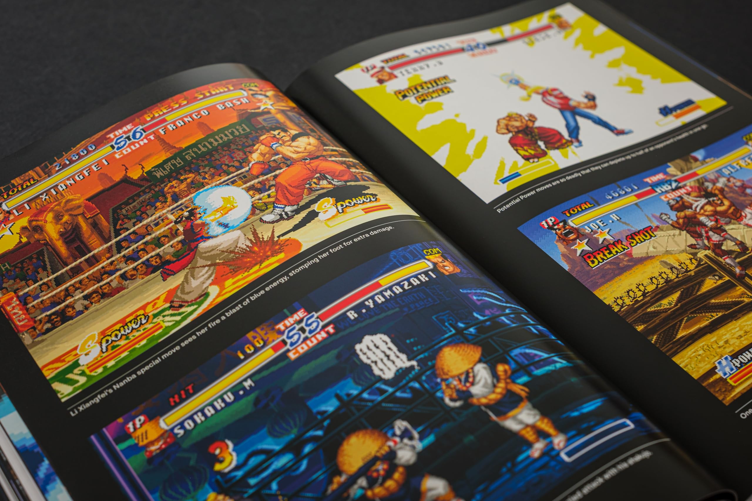 Fatal Fury/Garou Densetsu: The Ultimate History