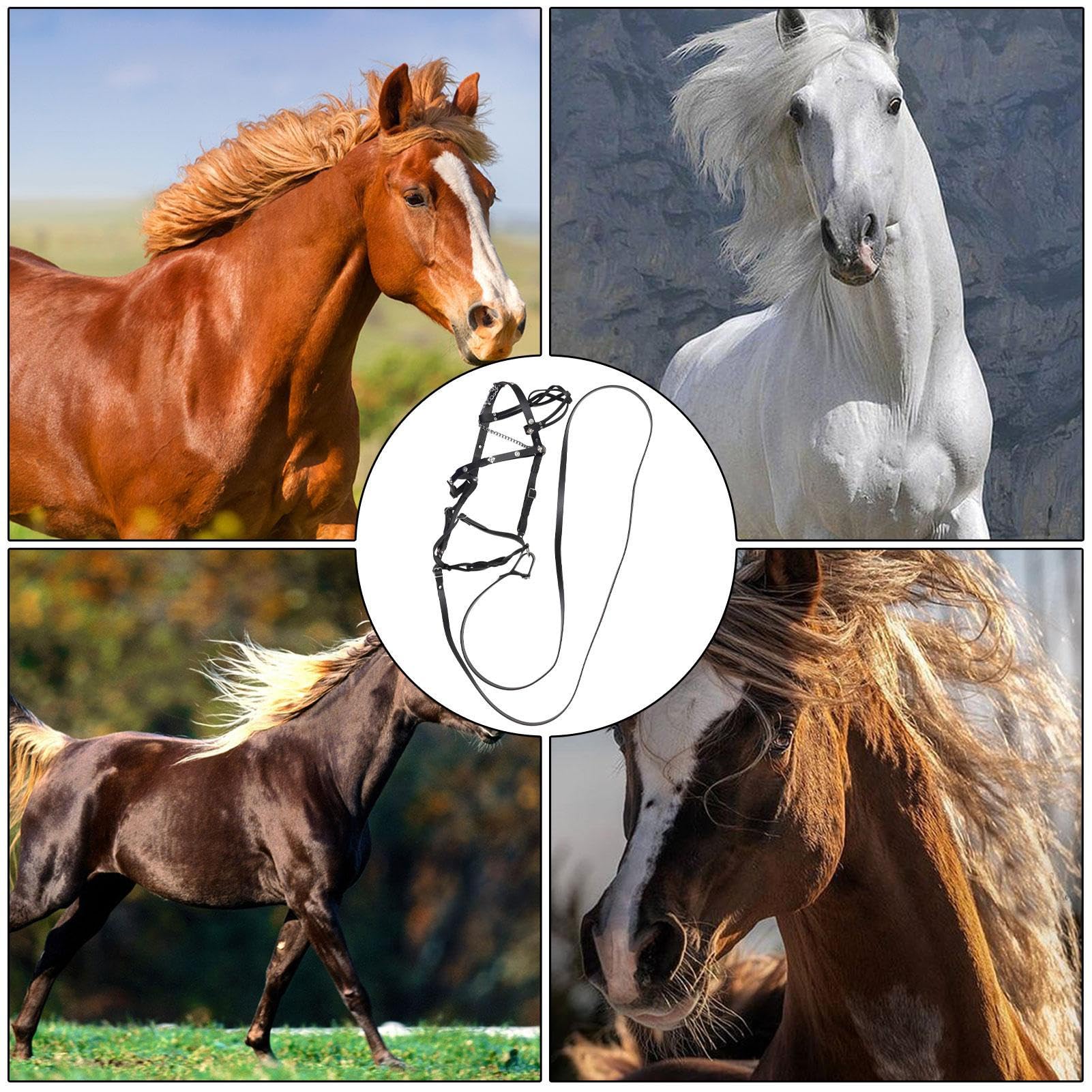 Generisch -Cabestro de cuero - Soportes ajustables - Correa para caballos |